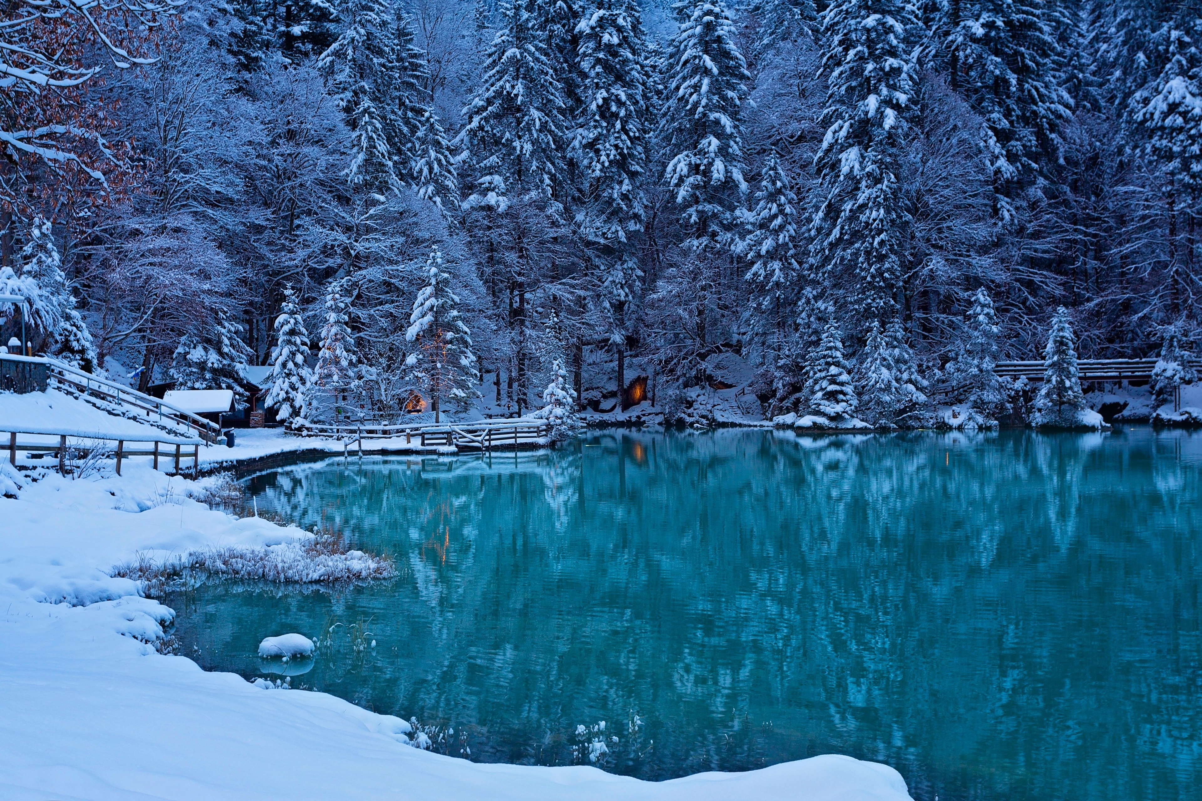 Winter lake and snow-covered forest 4K HD Wallpaper