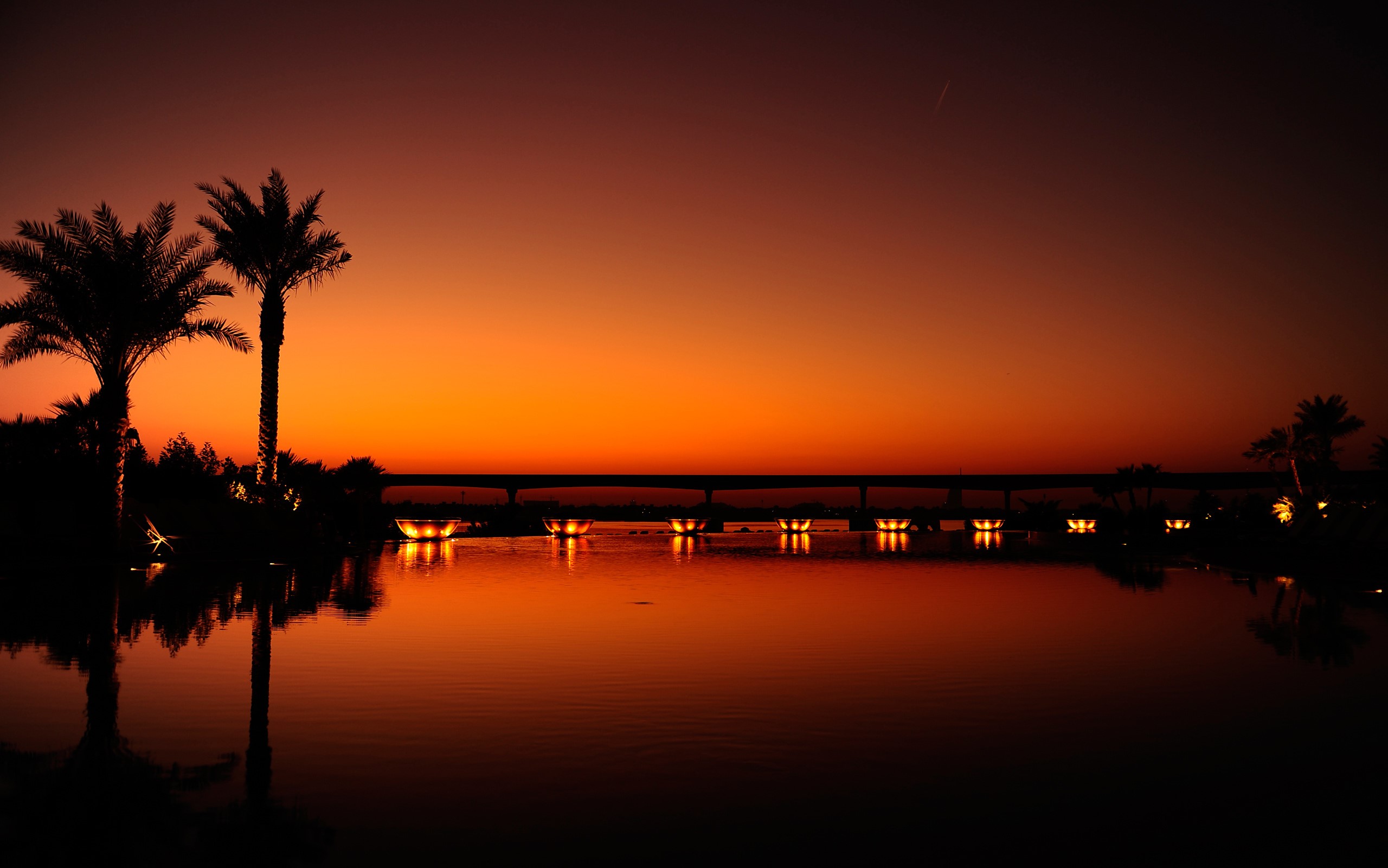 Sunset over water with palm trees and bridge lights HD Wallpaper