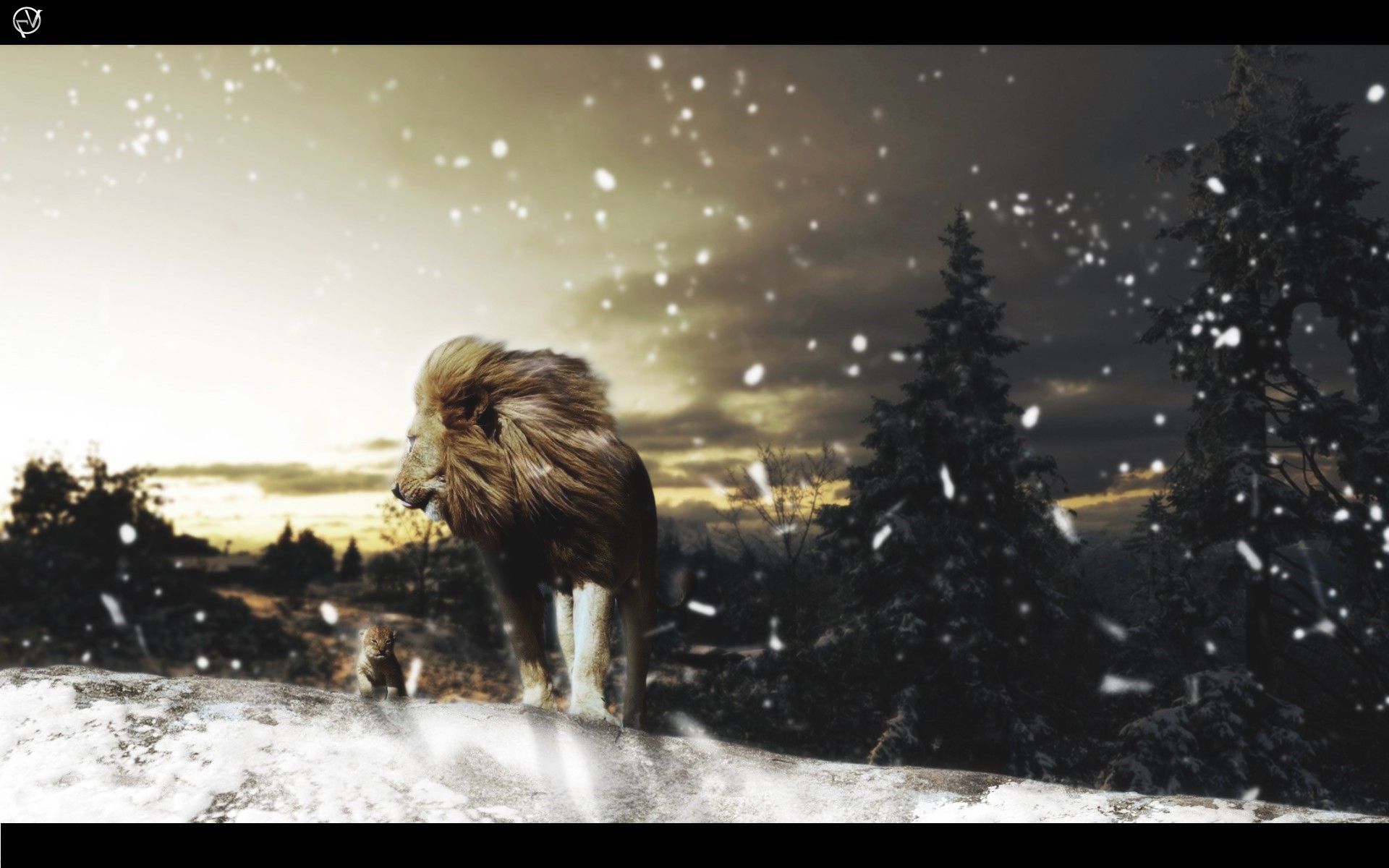 Lion and cub in a snowy landscape HD Wallpaper