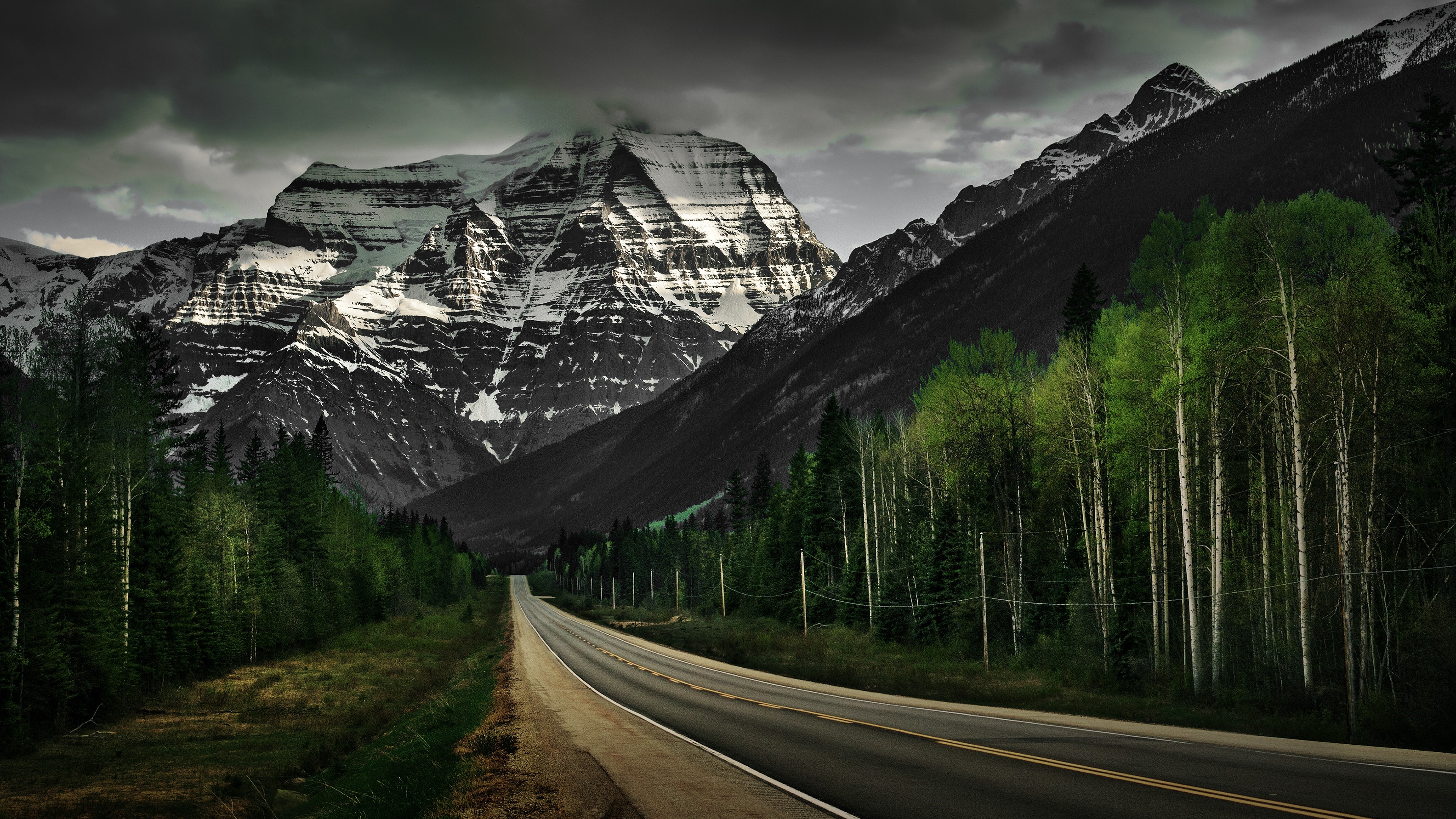 Mountain landscape with road and trees HD Wallpaper