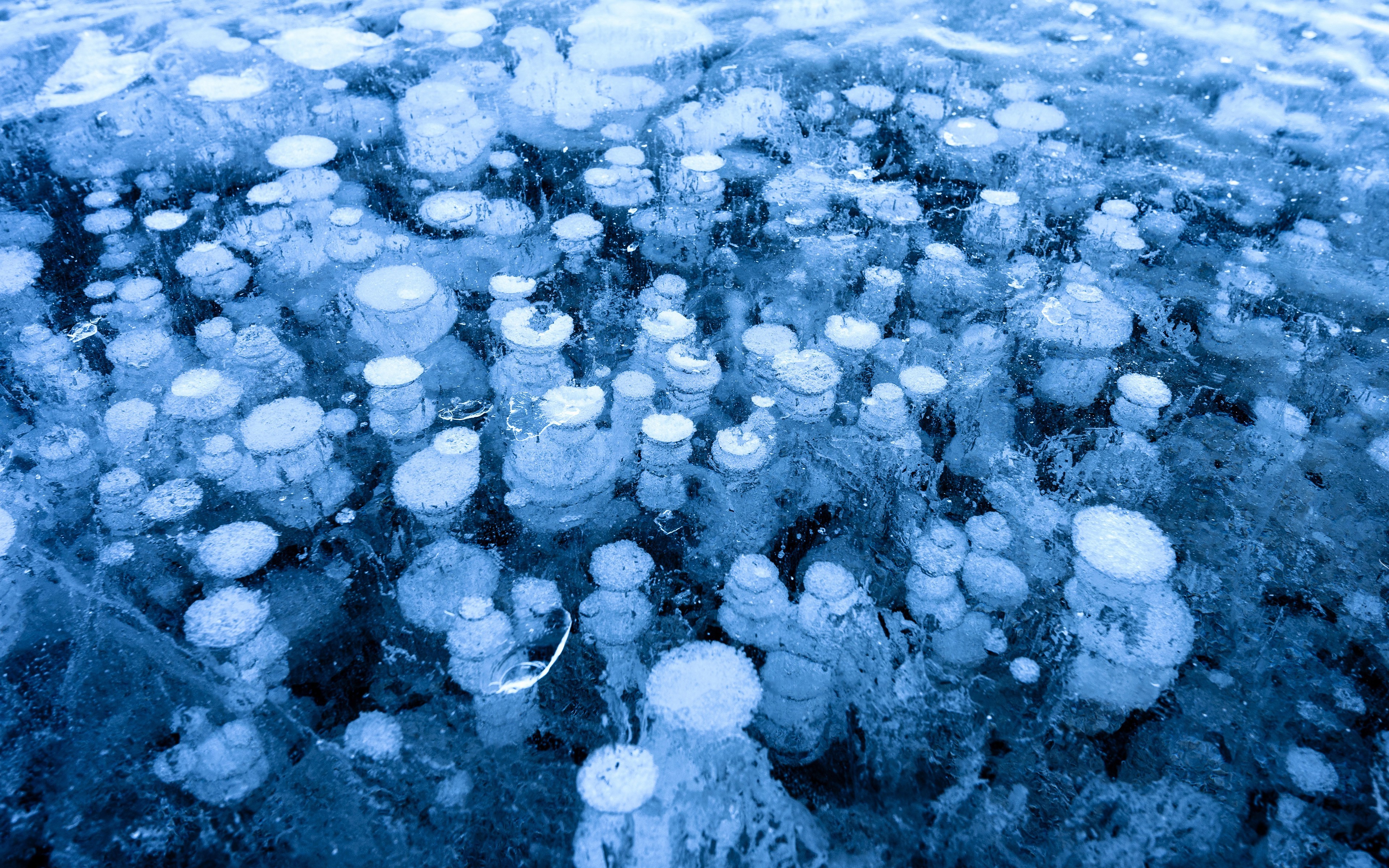 Frozen lake with trapped air bubbles HD Wallpaper