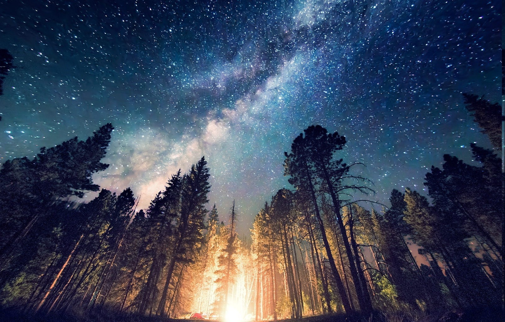 Forest camping under the Milky Way HD Wallpaper