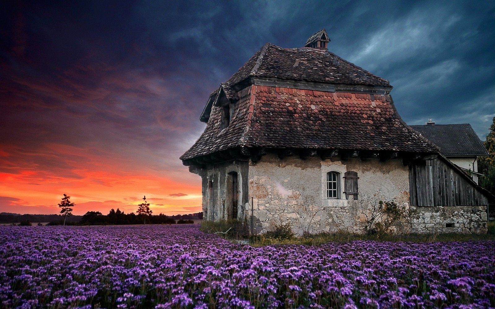 Sunset Over Old Farmhouse with Lavender Field HD Wallpaper