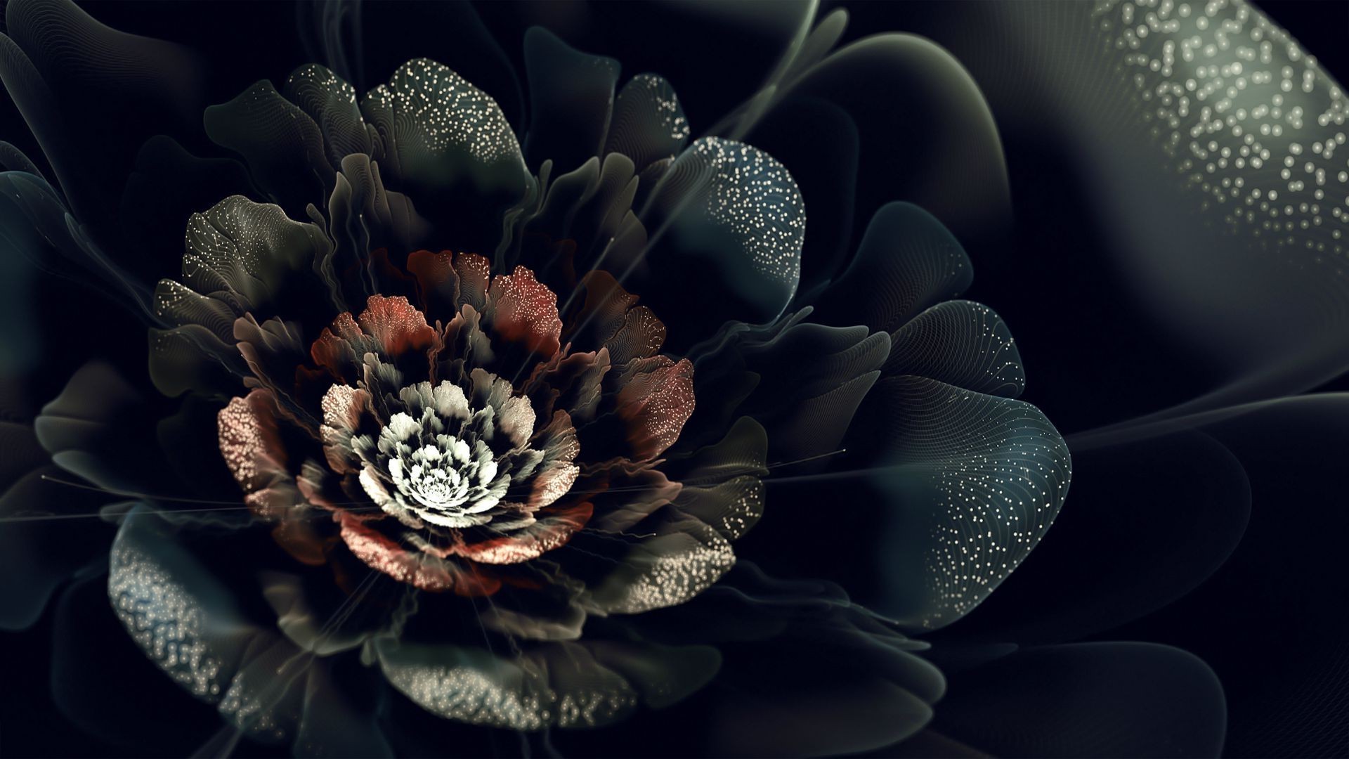 Abstract fractal flower with dark background HD Wallpaper