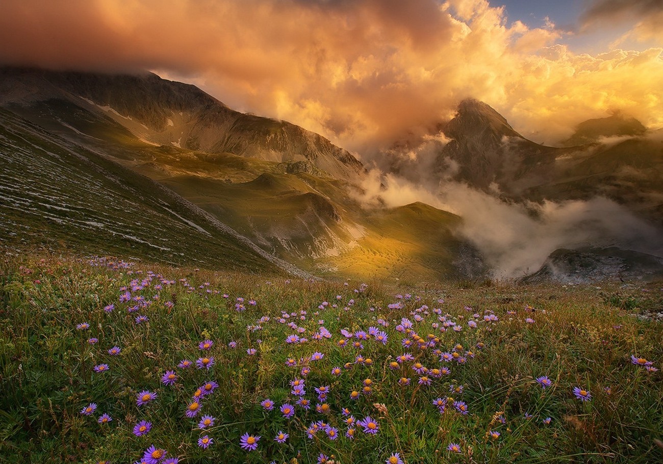 Mountain valley with flowers at sunset HD Wallpaper