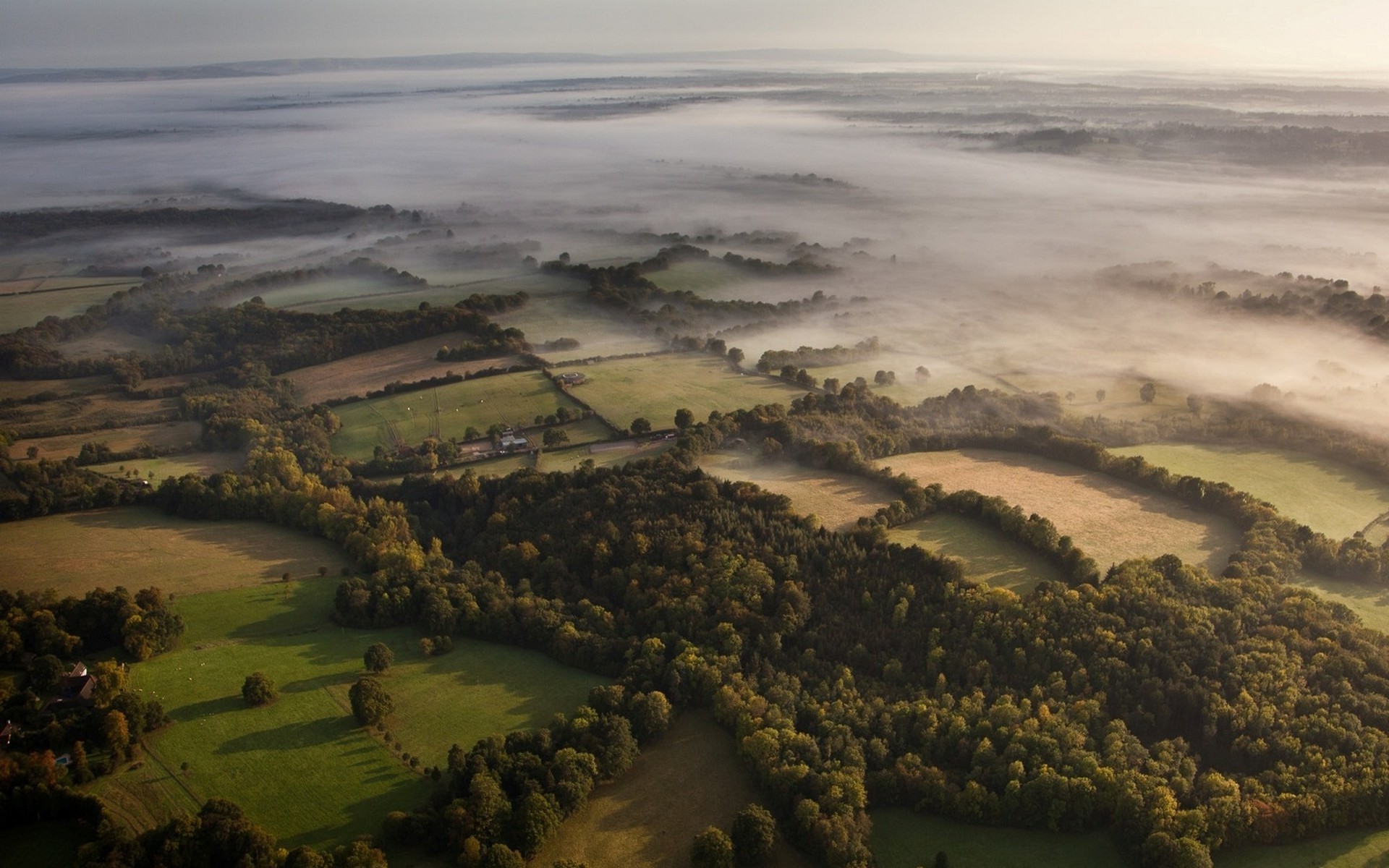 Mist-covered Forest and Fields at Dawn in the UK HD Wallpaper