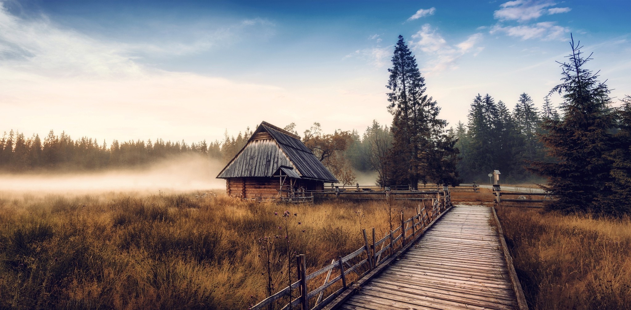 Wooden cabin in misty field with forest and boardwalk HD Wallpaper
