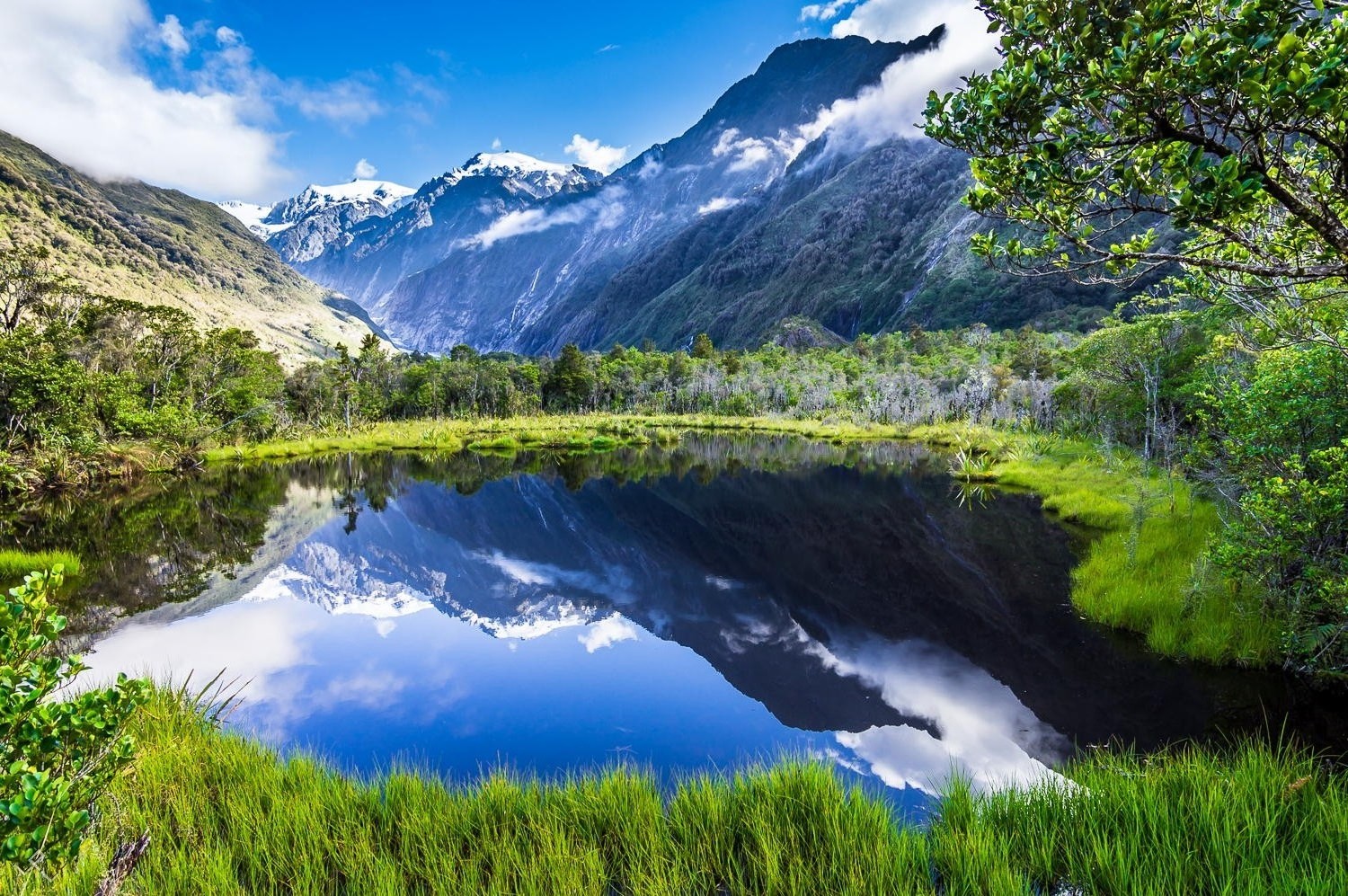 Lake reflection of snowy mountains and forest in New Zealand HD Wallpaper