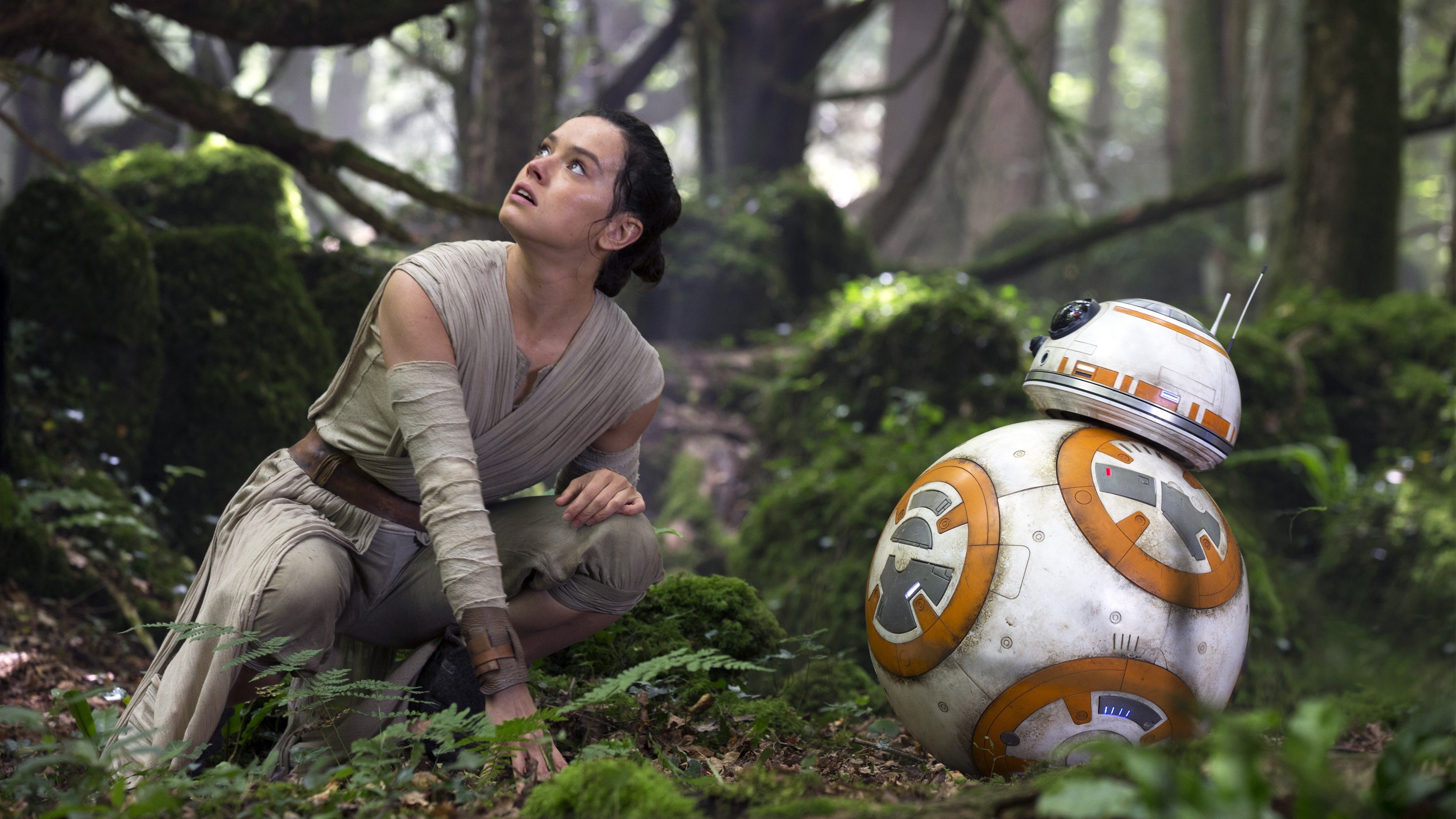 Rey and BB-8 from Star Wars: The Force Awakens HD Wallpaper