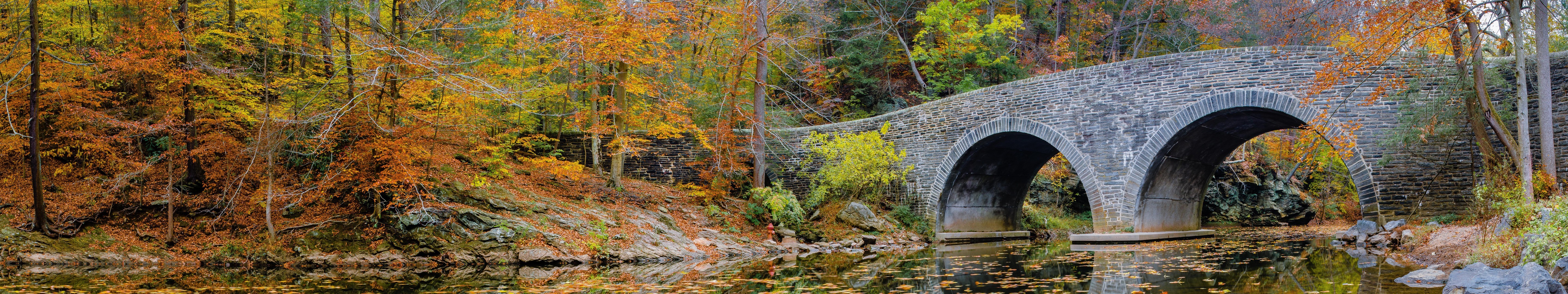 Stone bridge over a stream in autumn forest HD Wallpaper