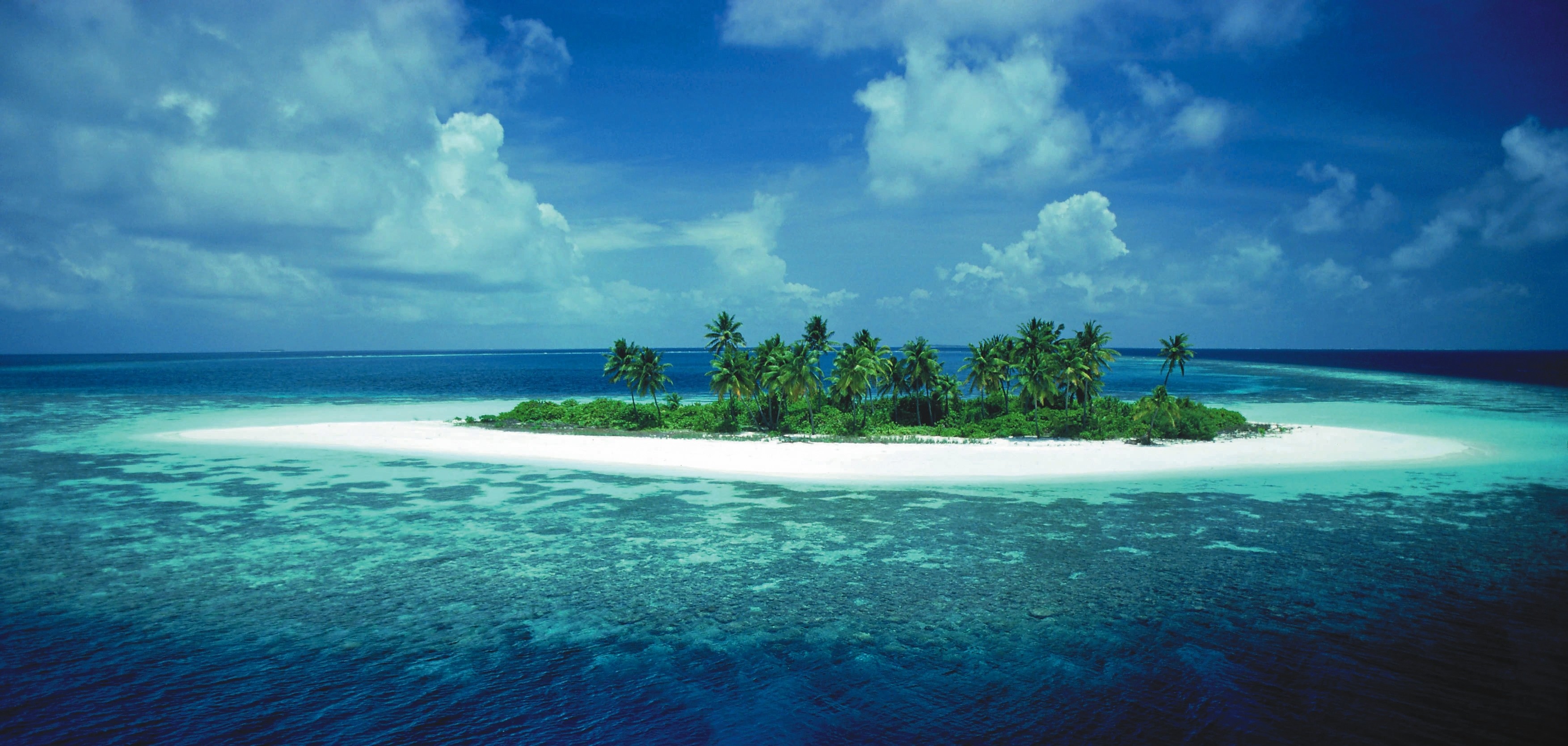 Tropical island with palm trees in the ocean HD Wallpaper