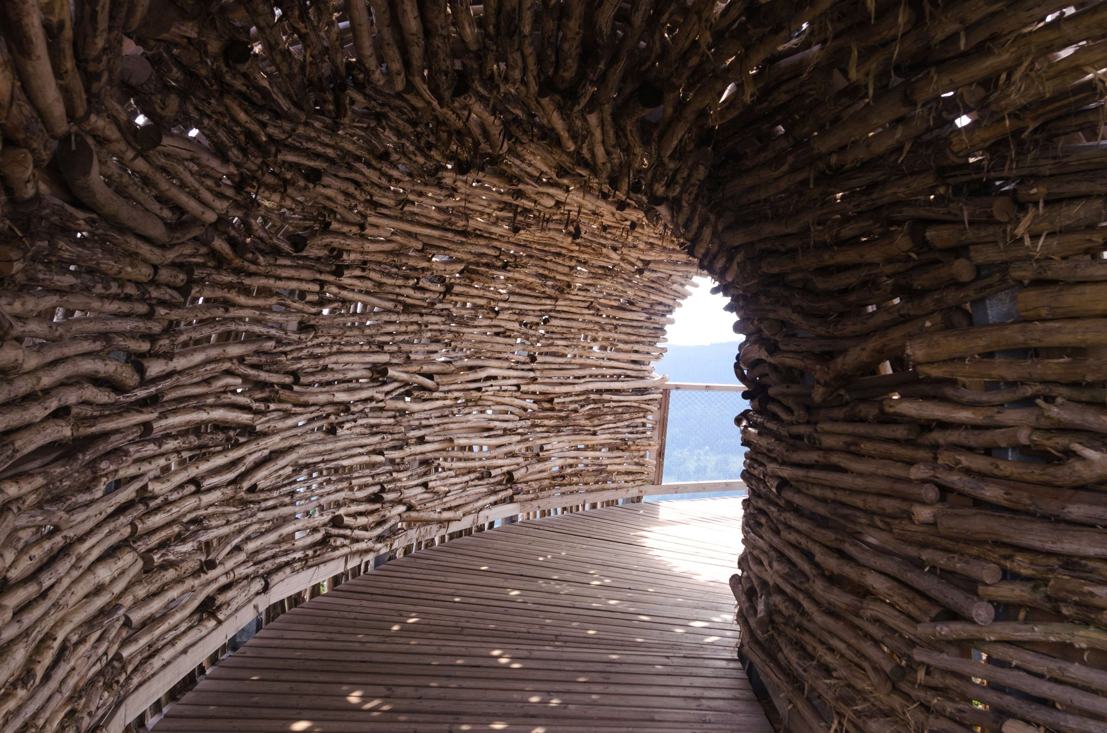 Wooden tunnel structure with a wooden walkway HD Wallpaper