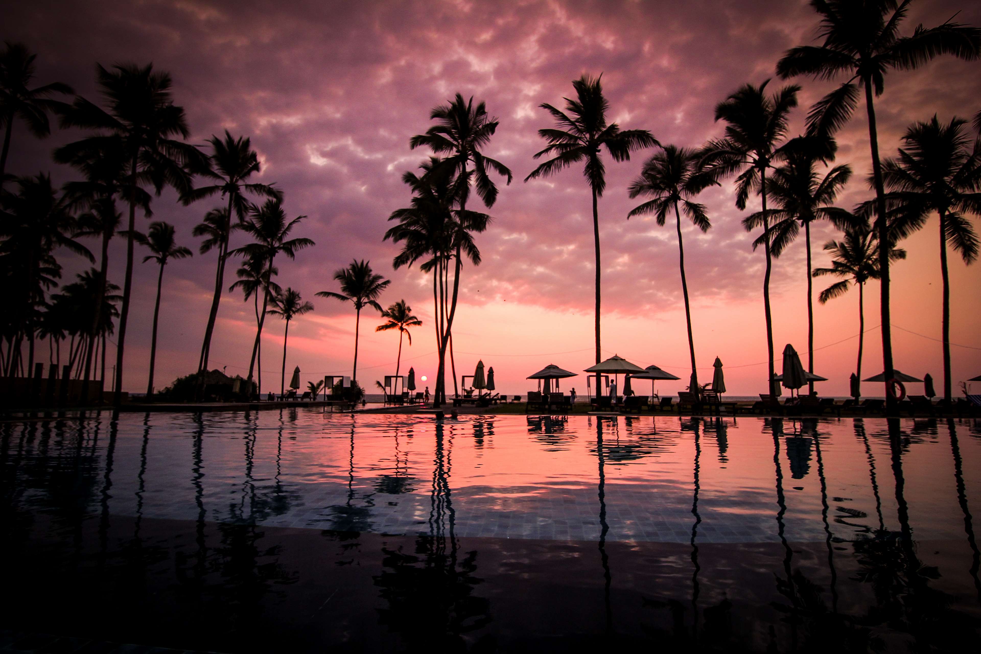Palm trees and swimming pool at sunset HD Wallpaper