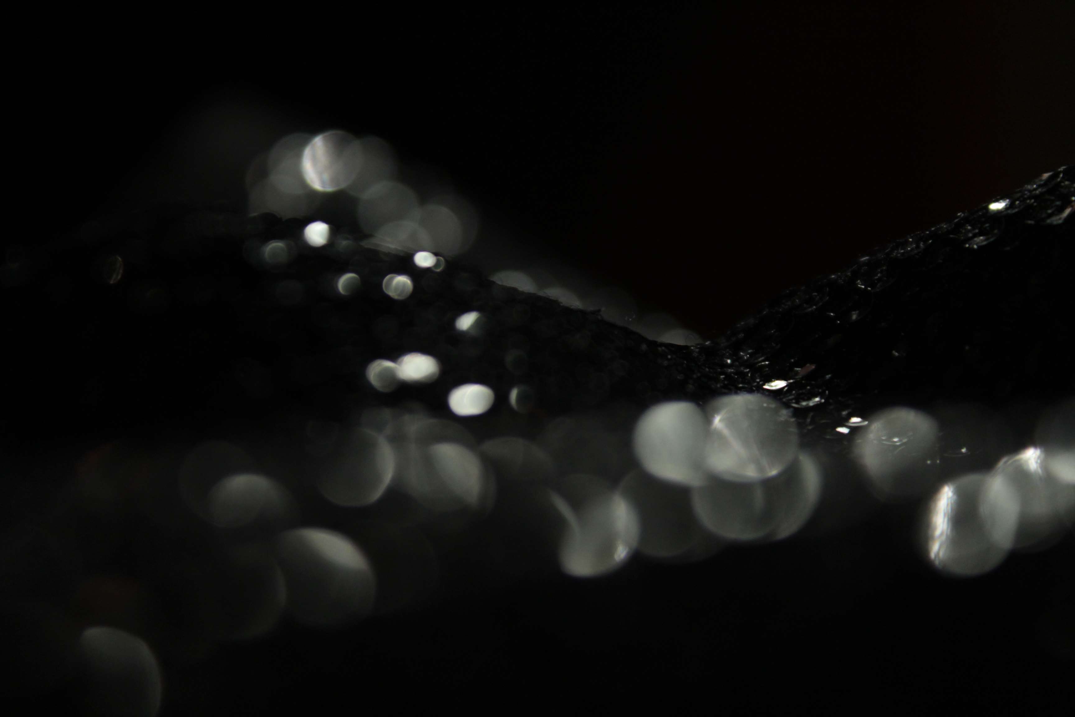 Abstract bokeh lights on dark background HD Wallpaper