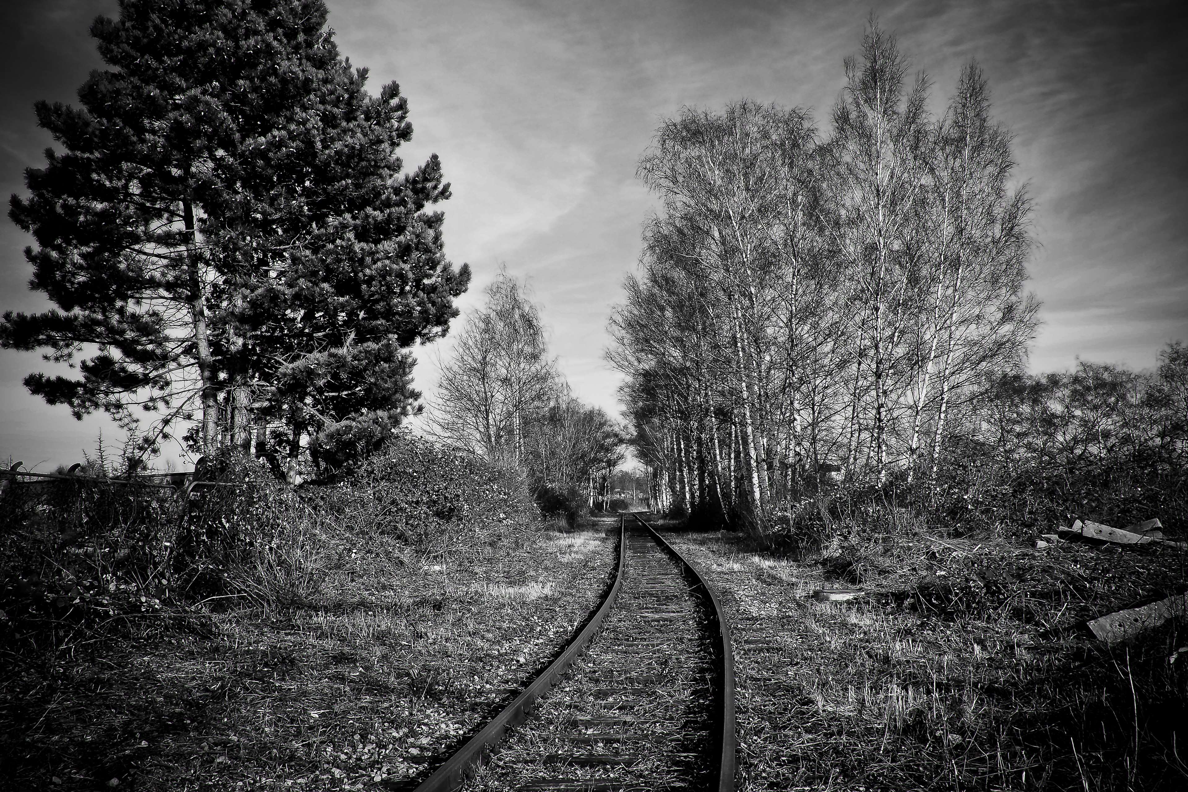 Abandoned railway tracks through overgrown landscape HD Wallpaper