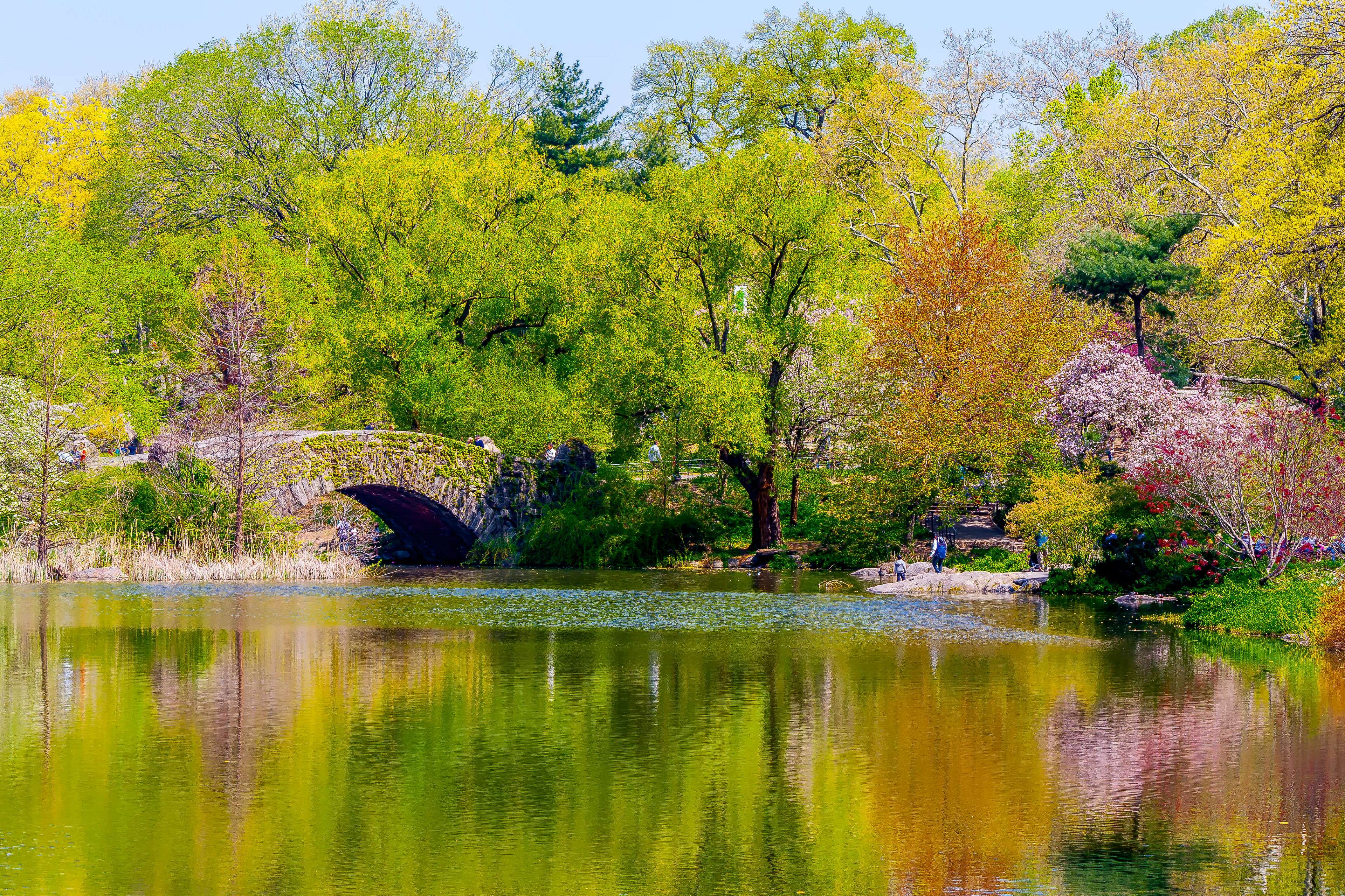 Stone bridge over a pond in Central Park, NYC HD Wallpaper