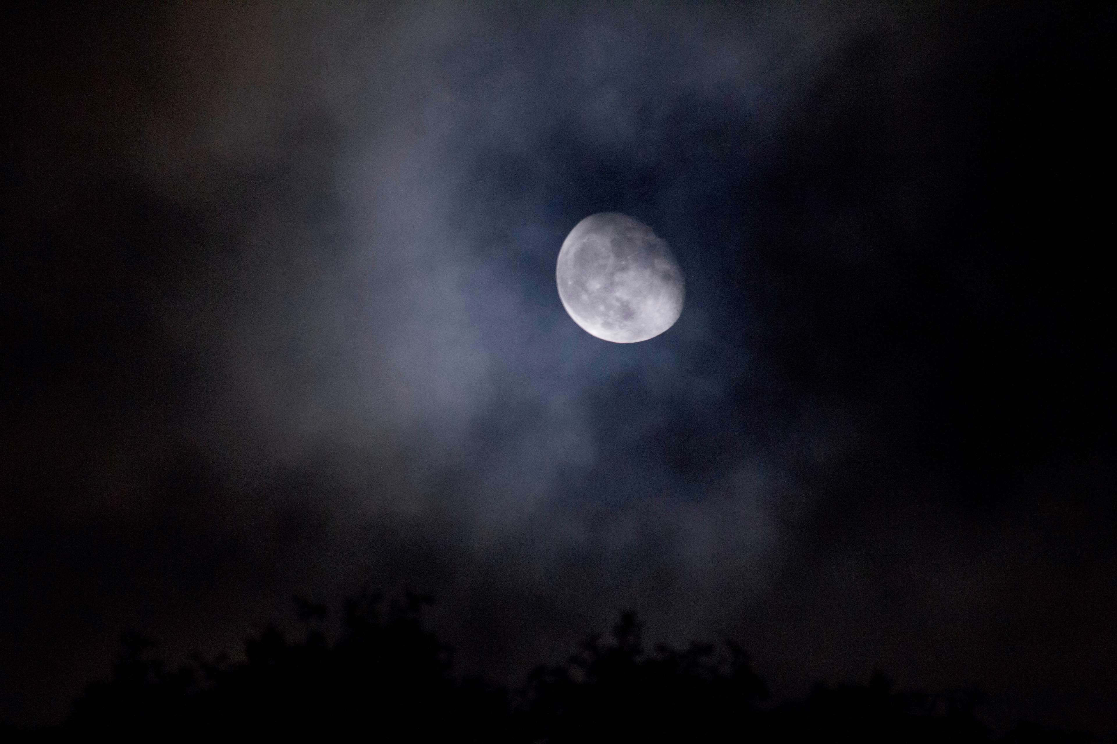 Moon partially obscured by clouds at night with trees HD Wallpaper