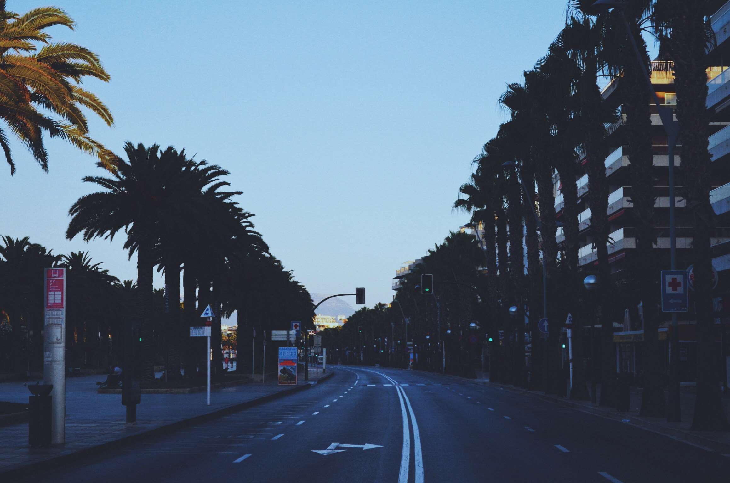 Road lined with palm trees in Salou, Spain HD Wallpaper