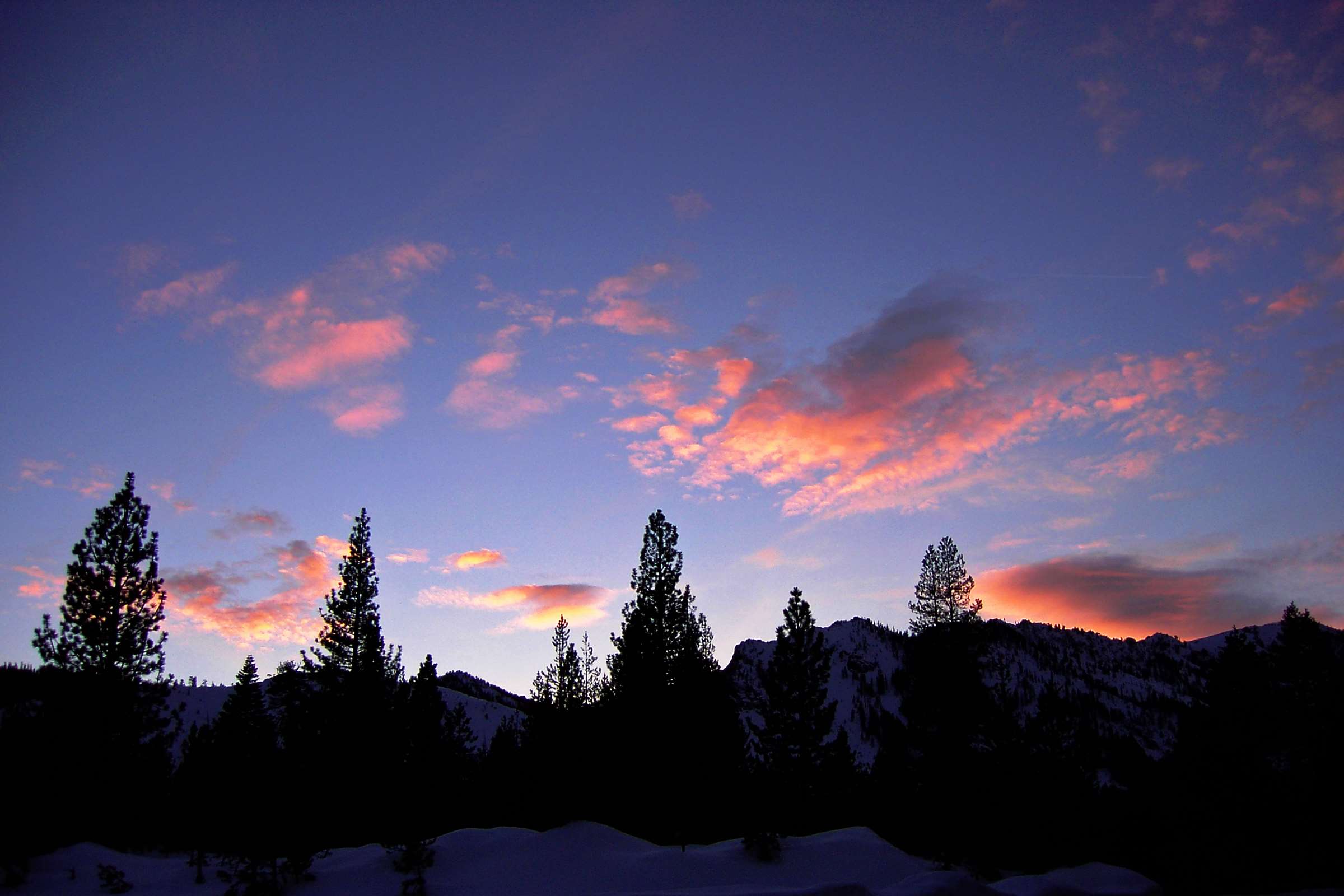 Silhouette of pine trees against a colorful sunset sky HD Wallpaper
