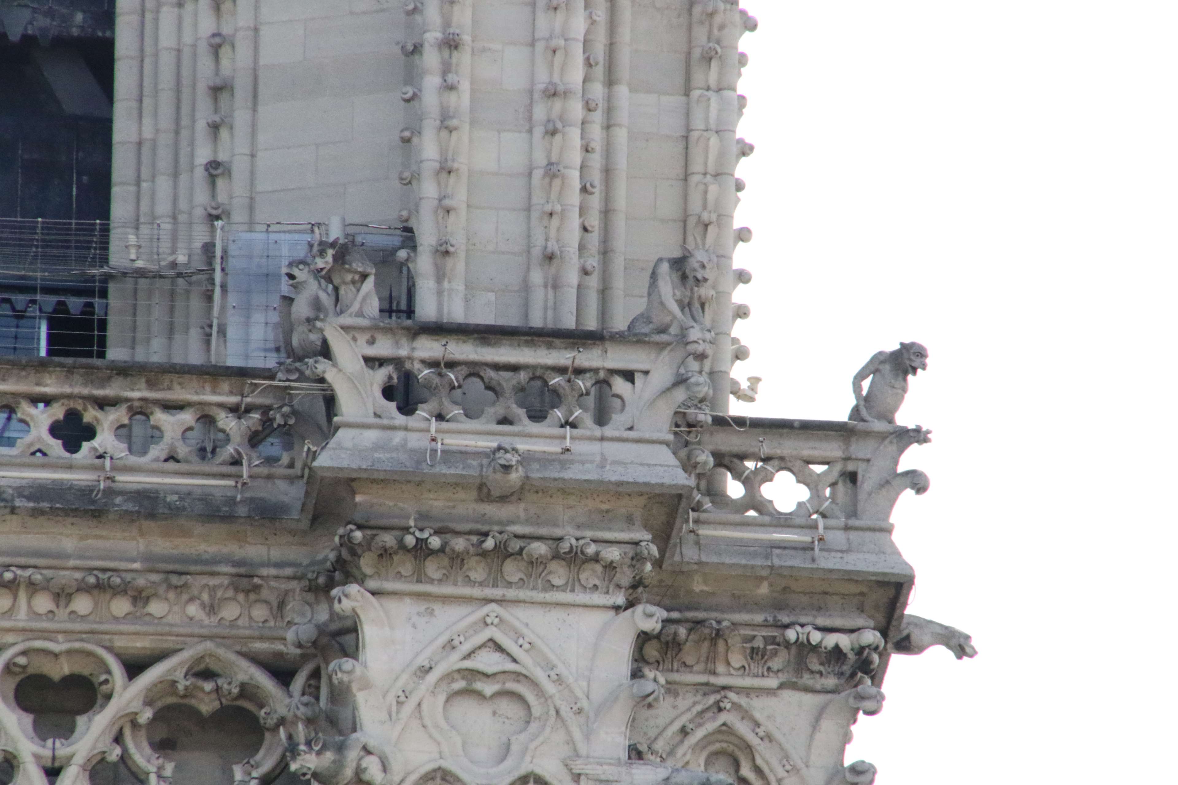 Gargoyles on Notre Dame Cathedral in Paris HD Wallpaper