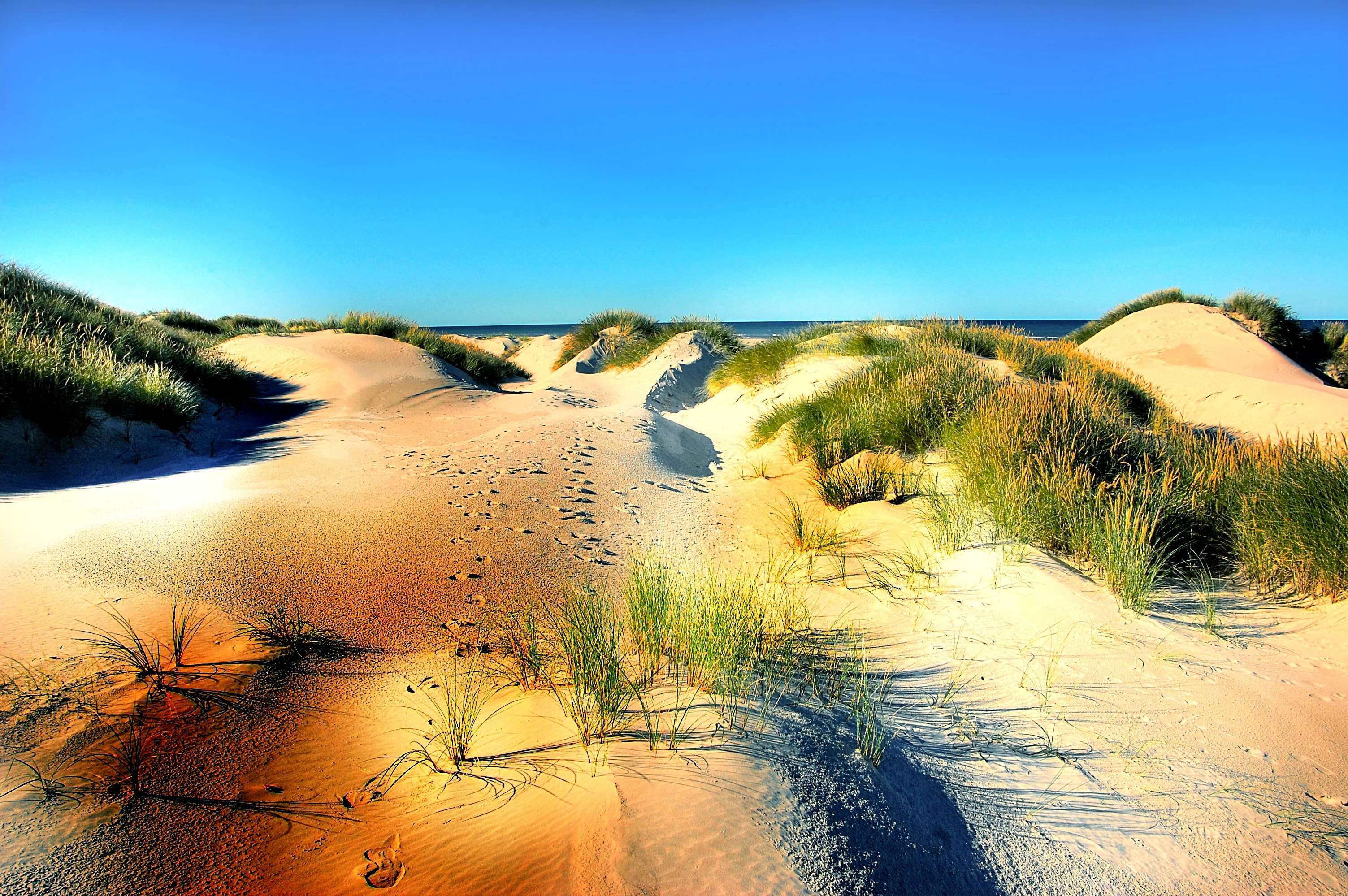 Sandy dunes with grass and blue sky HD Wallpaper