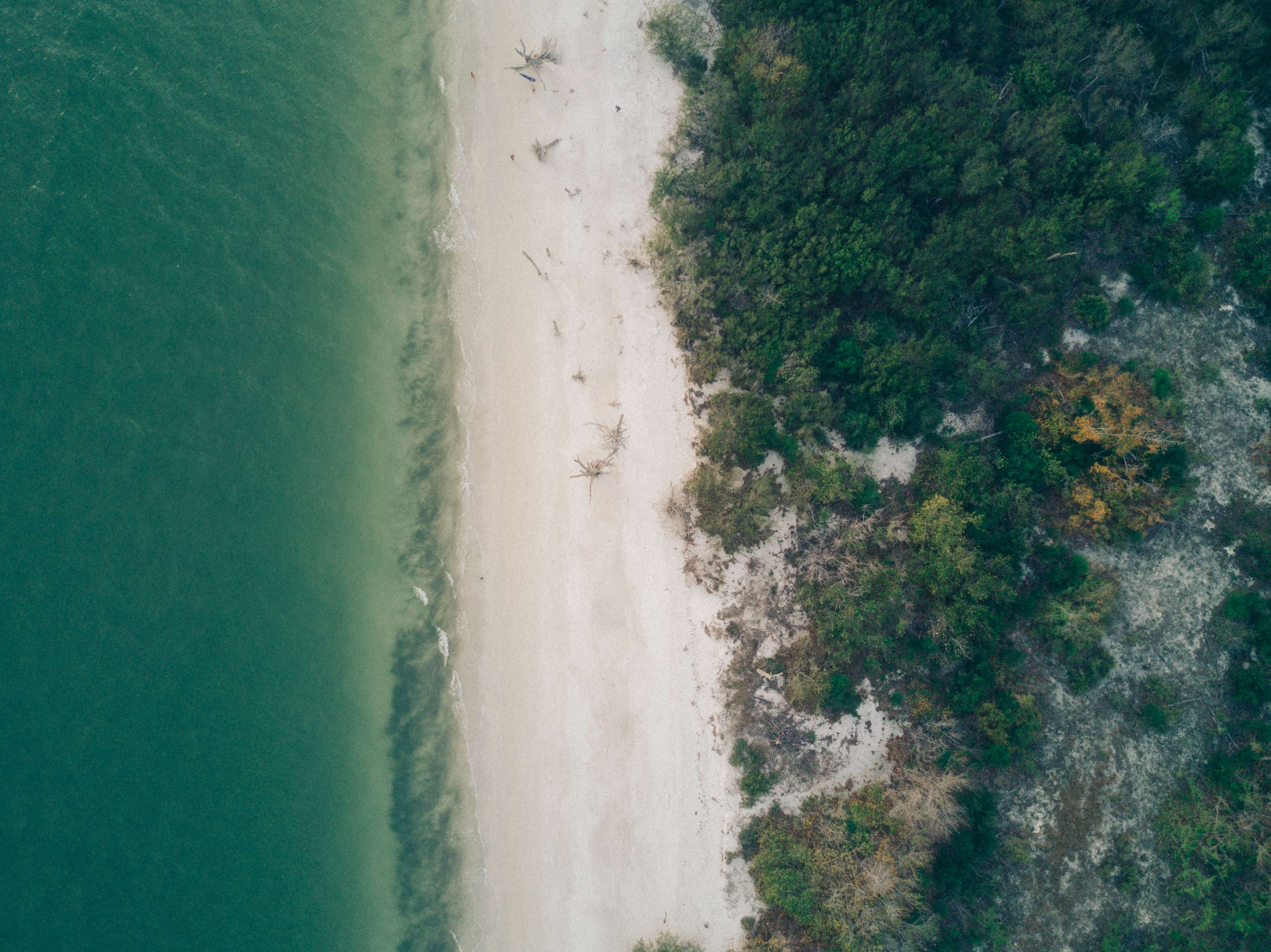 Aerial view of a sandy beach and lush green trees by the ocean HD Wallpaper