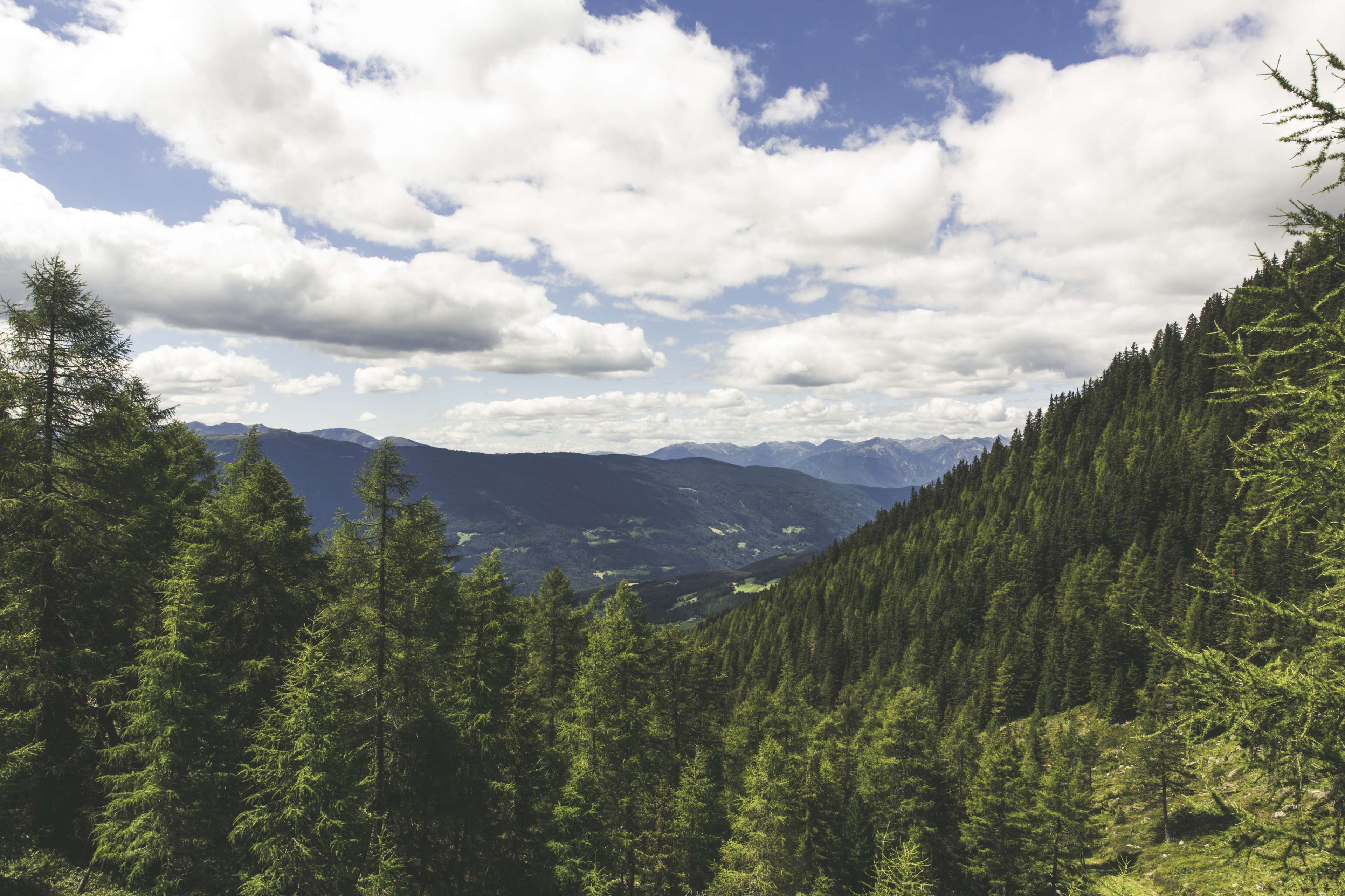 Mountain range with evergreen forest and cloudy sky HD Wallpaper
