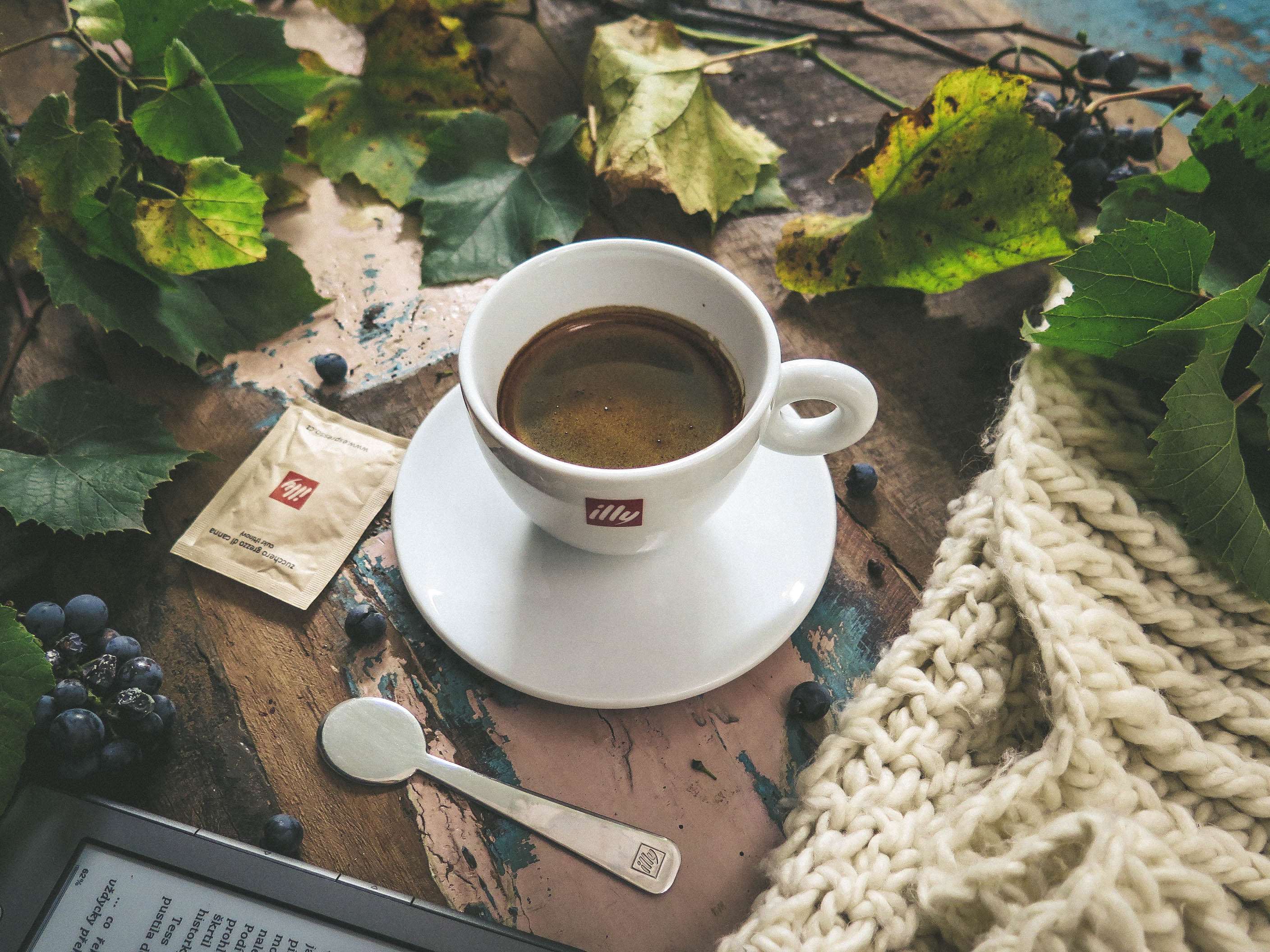Illy coffee cup with autumn leaves and blueberries HD Wallpaper
