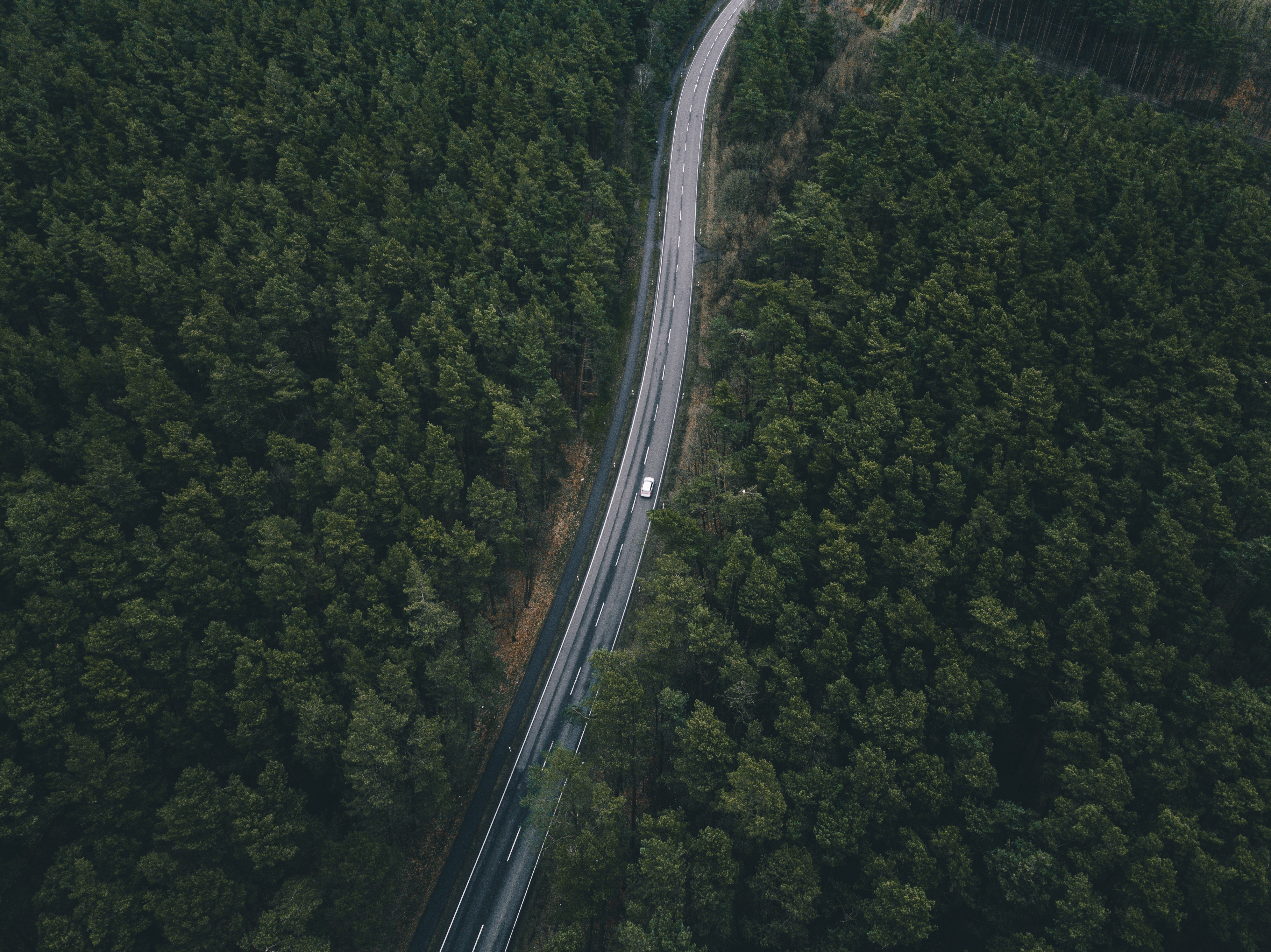Aerial view of a road through a dense forest HD Wallpaper