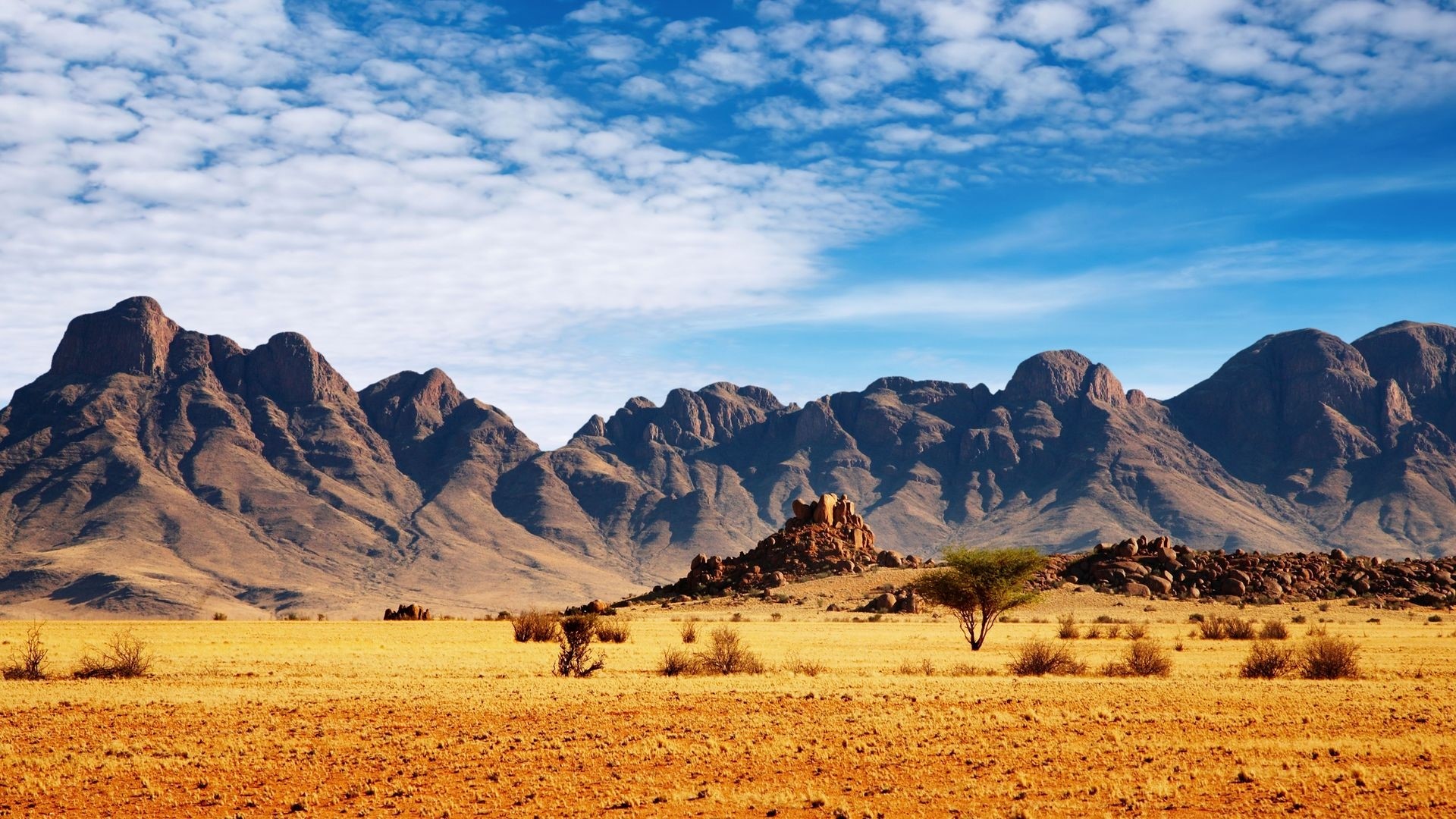 Mountains and desert landscape with sparse vegetation HD Wallpaper