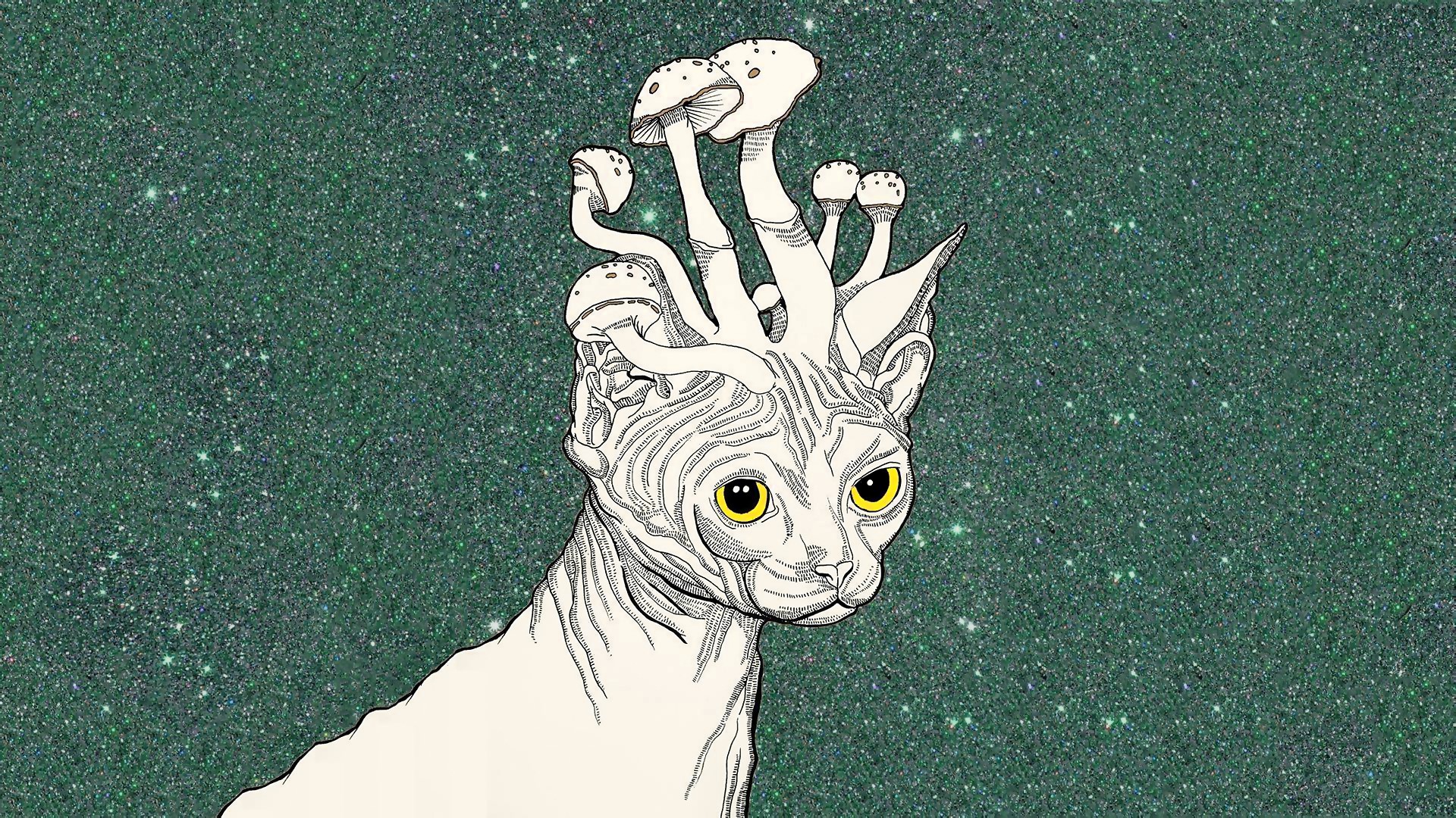 Sphynx cat with mushrooms on head HD Wallpaper