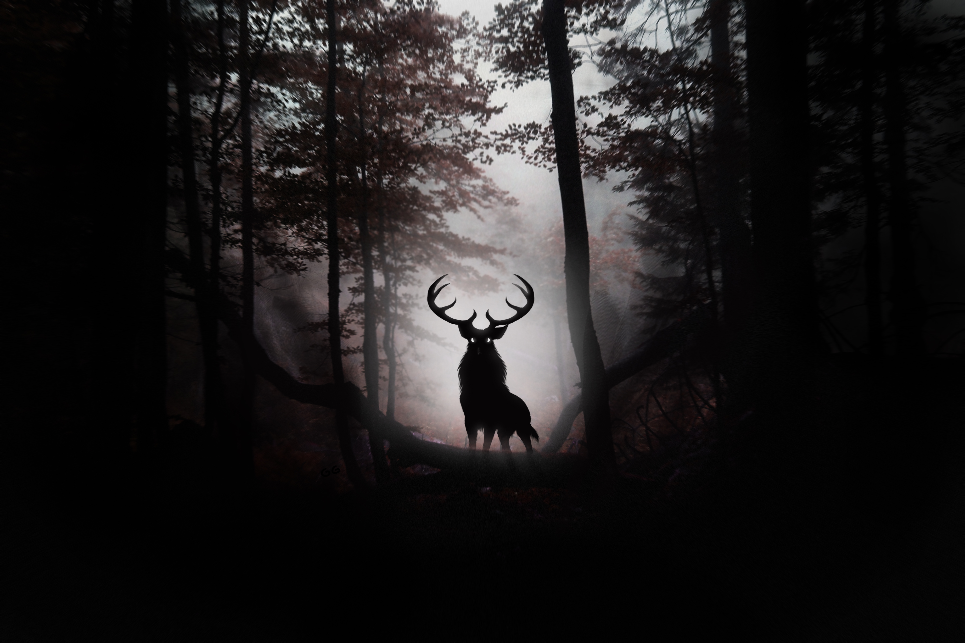 Deer in a dark, foggy forest HD Wallpaper