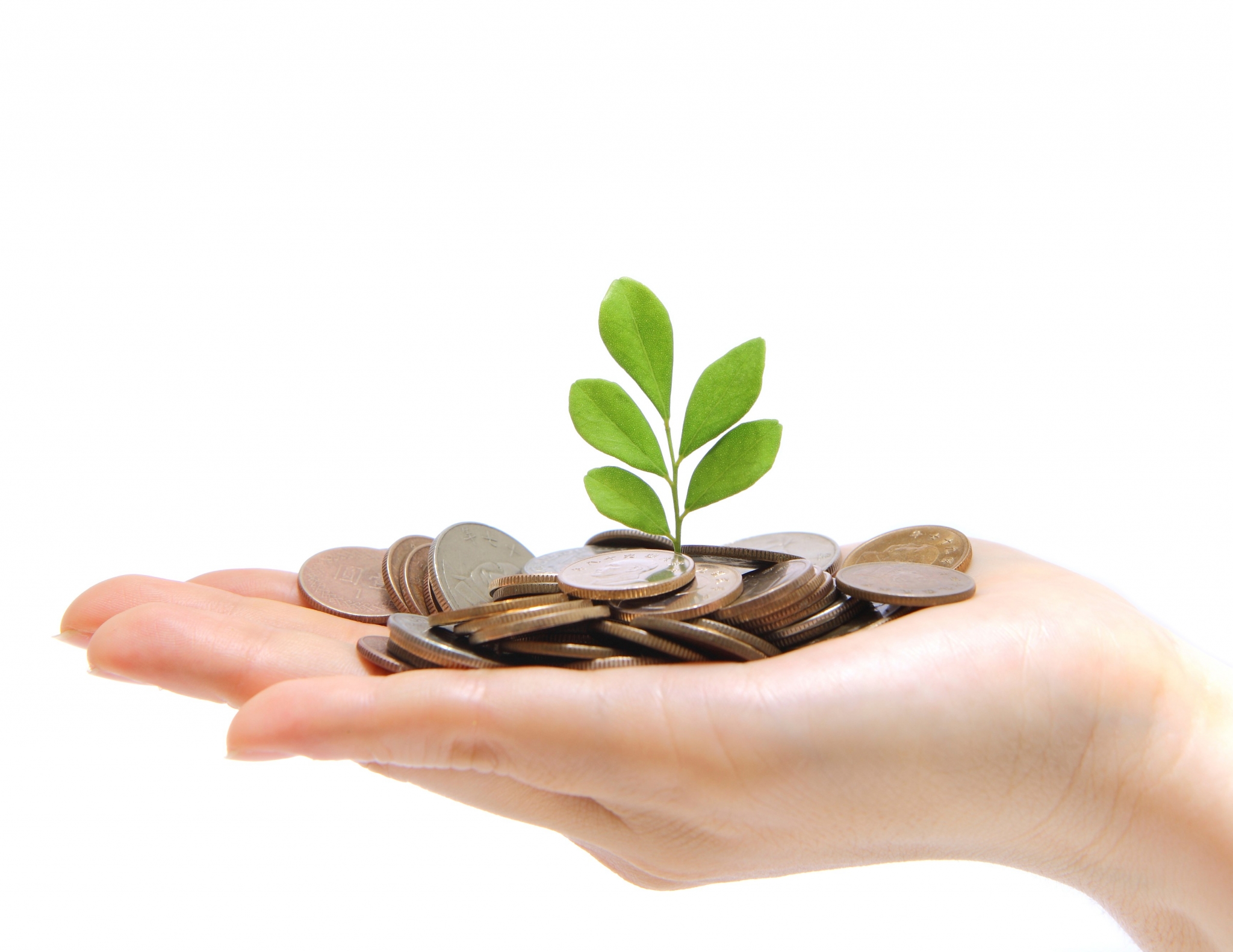 Hand holding coins with plant growing HD Wallpaper