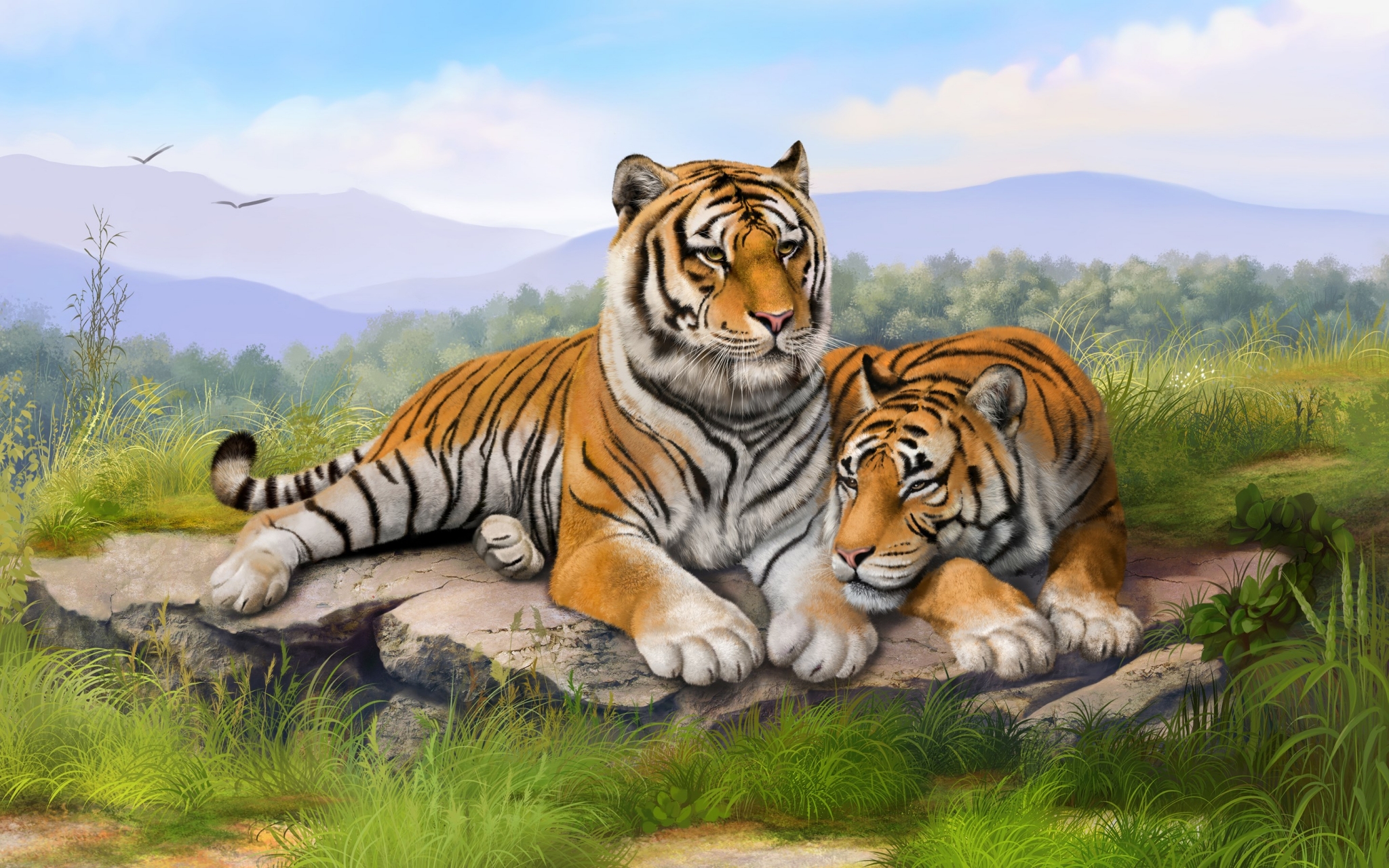 Two tigers resting on rocks in a landscape HD Wallpaper