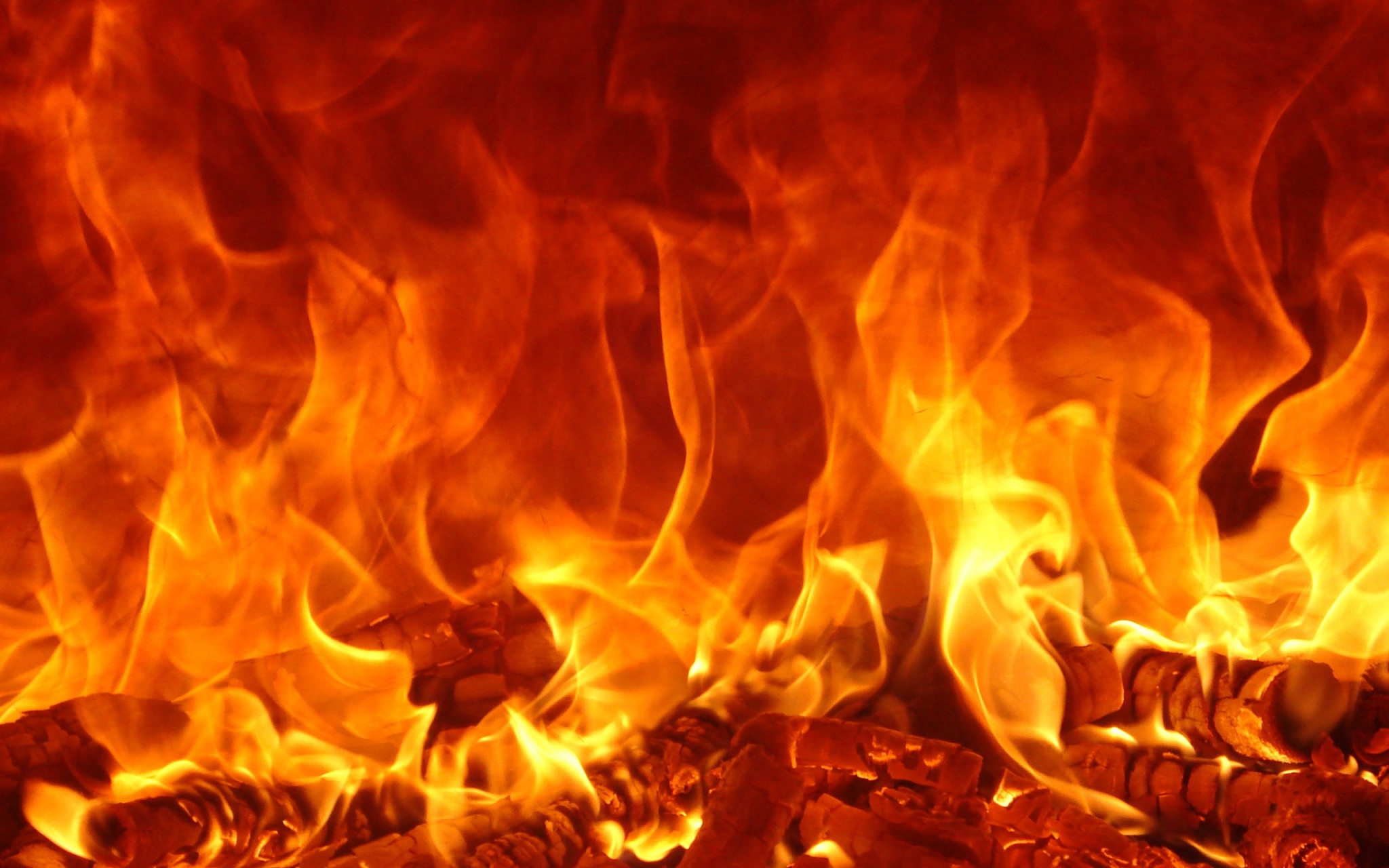 Close-up of a roaring fire with burning logs HD Wallpaper