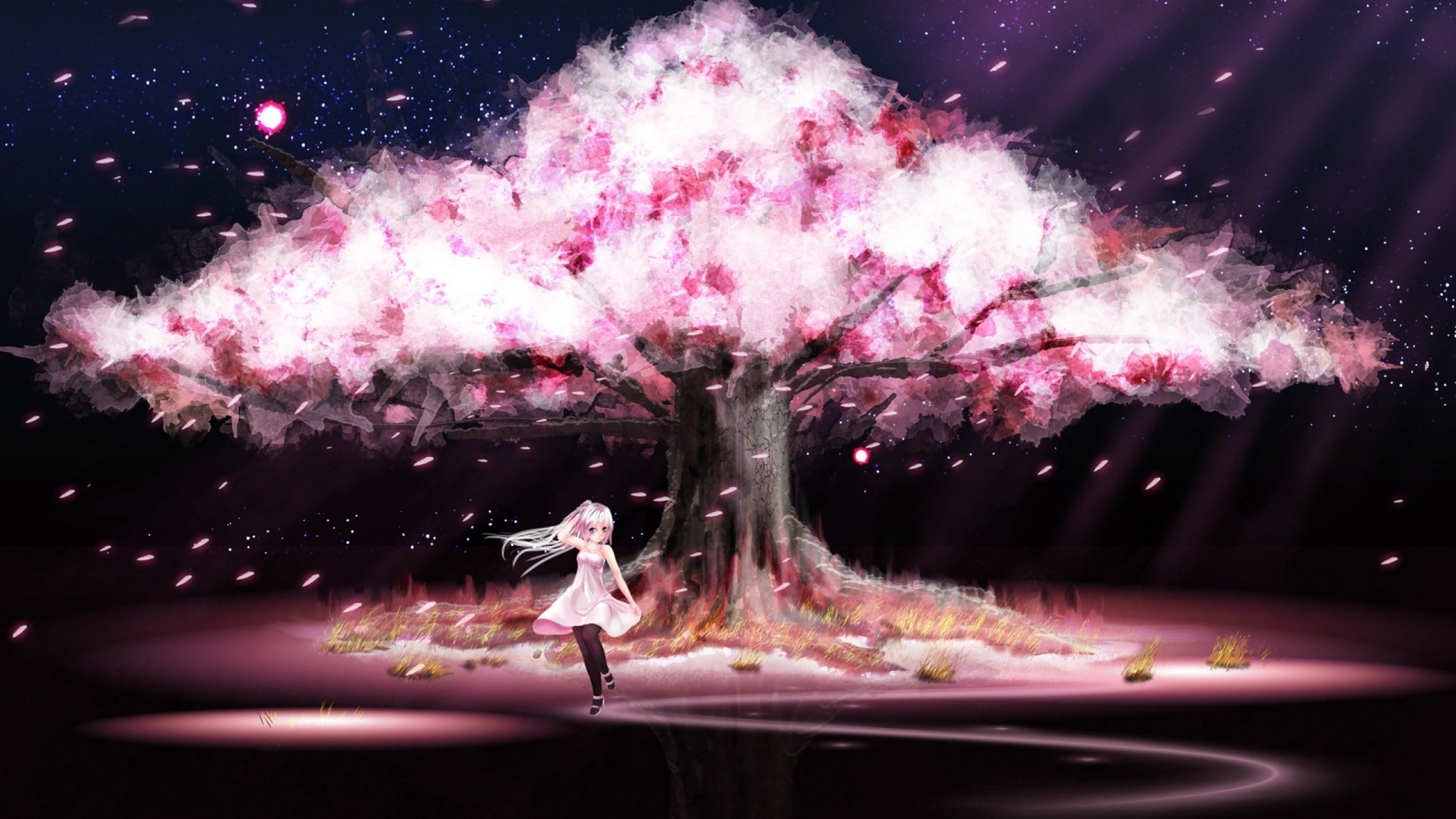 Girl under a cherry blossom tree at night HD Wallpaper