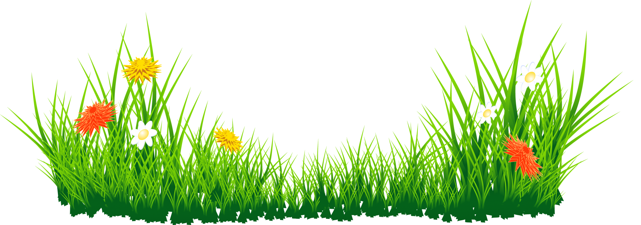 Green grass with colorful flowers HD Wallpaper