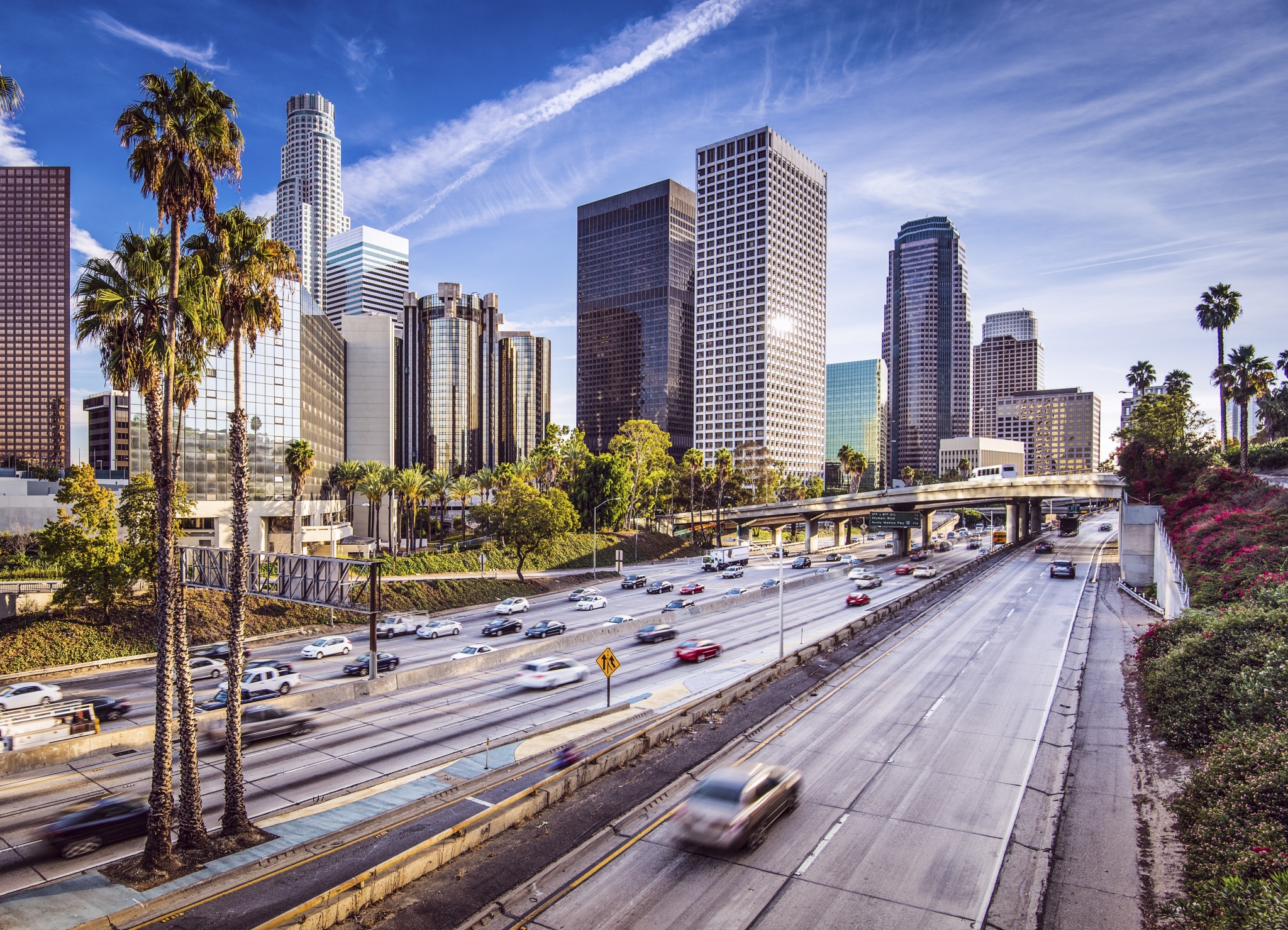 Los Angeles skyline with palm trees and freeway HD Wallpaper