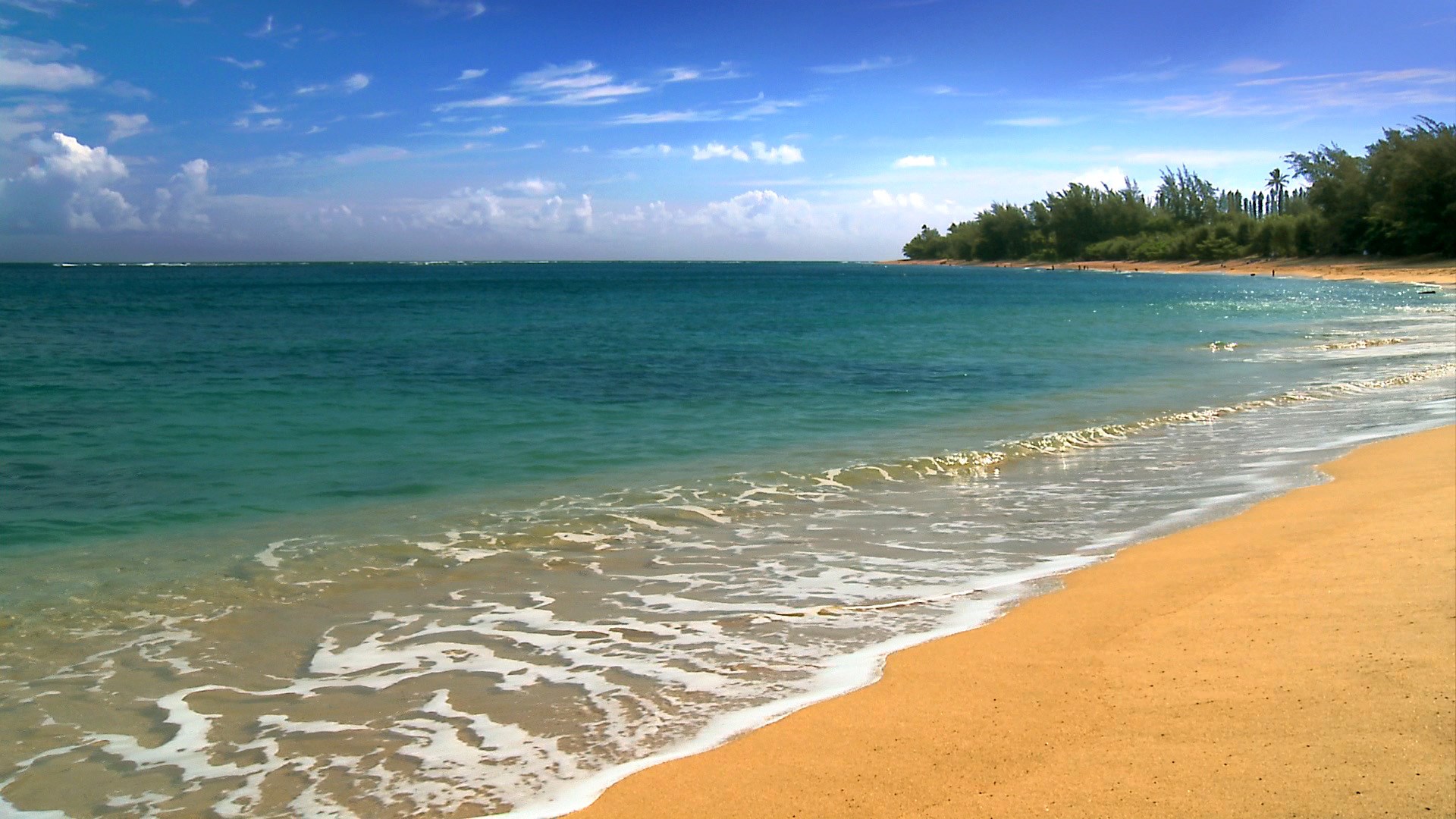 Beach with Turquoise Water and Sandy Shore HD Wallpaper