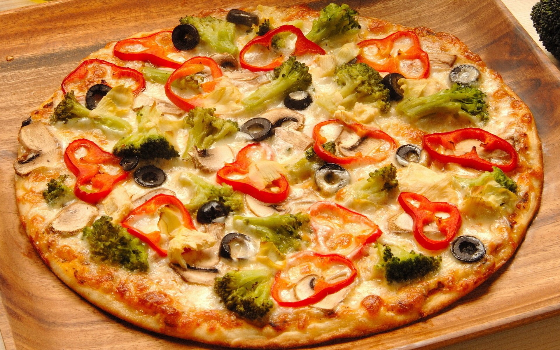 Vegetable pizza with broccoli, mushrooms, olives, and red peppers HD Wallpaper