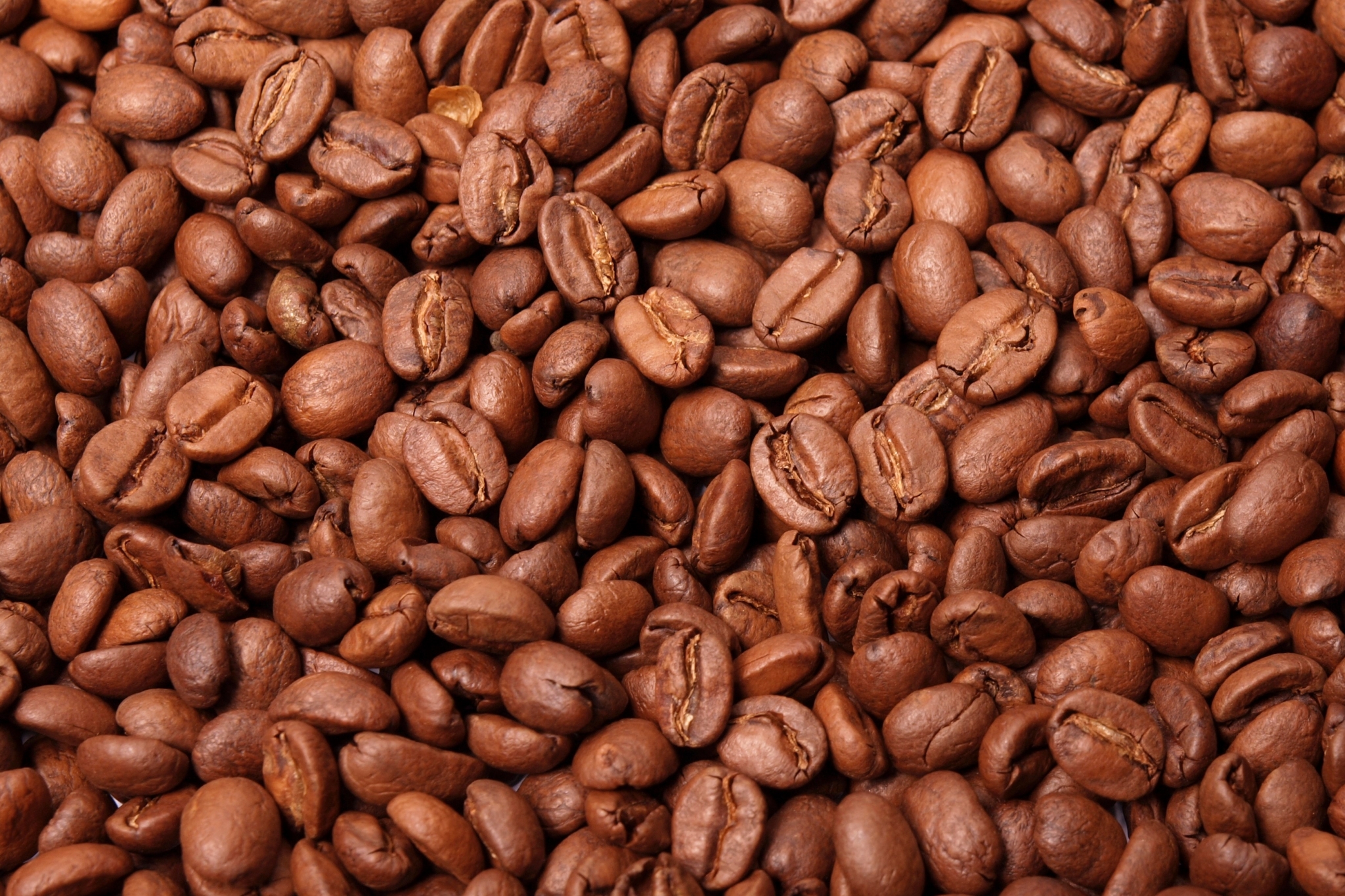 Close-up of roasted coffee beans HD Wallpaper