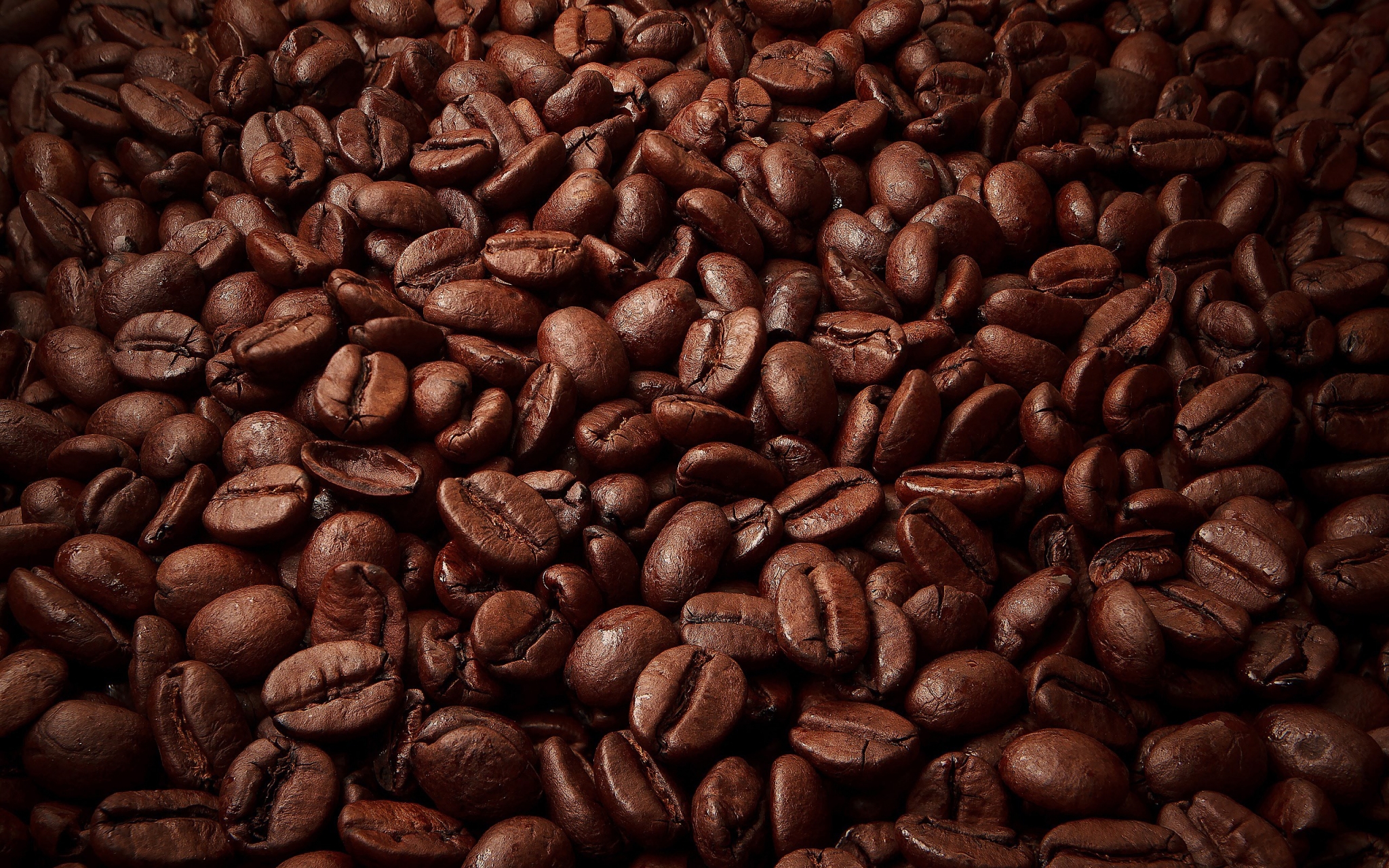 Close-up of roasted coffee beans HD Wallpaper
