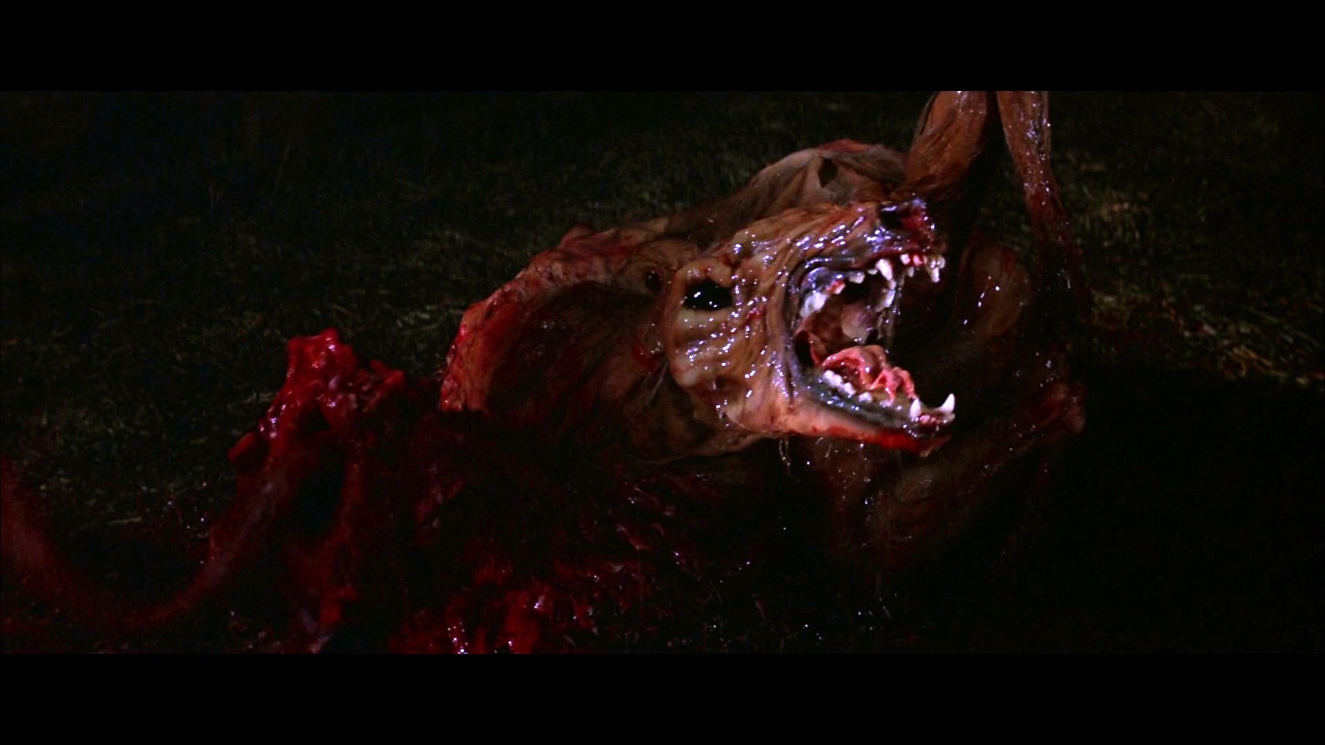 The Thing 1982 movie still HD Wallpaper