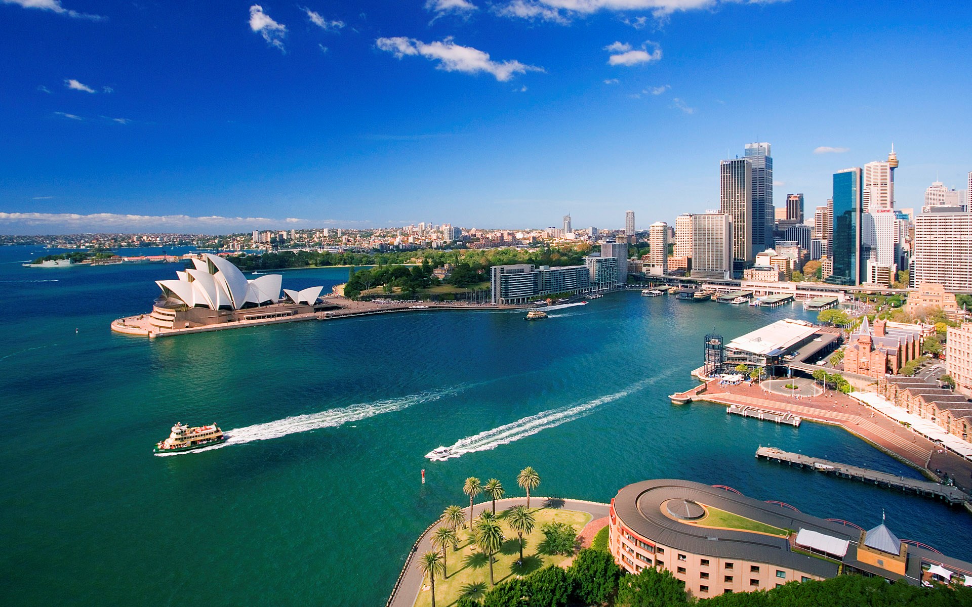 Sydney Opera House and Harbour HD Wallpaper