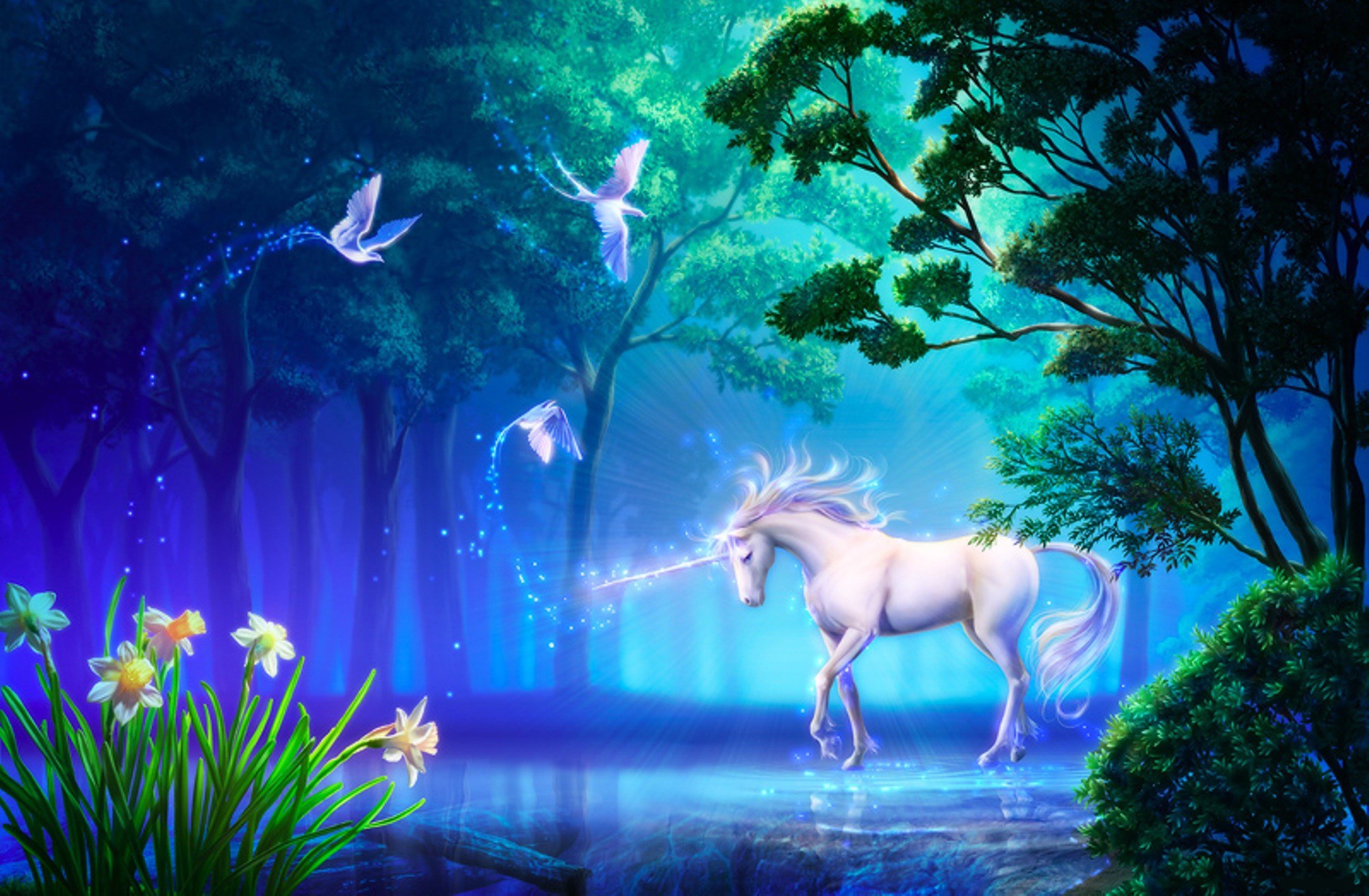 Unicorn in a magical forest with birds HD Wallpaper