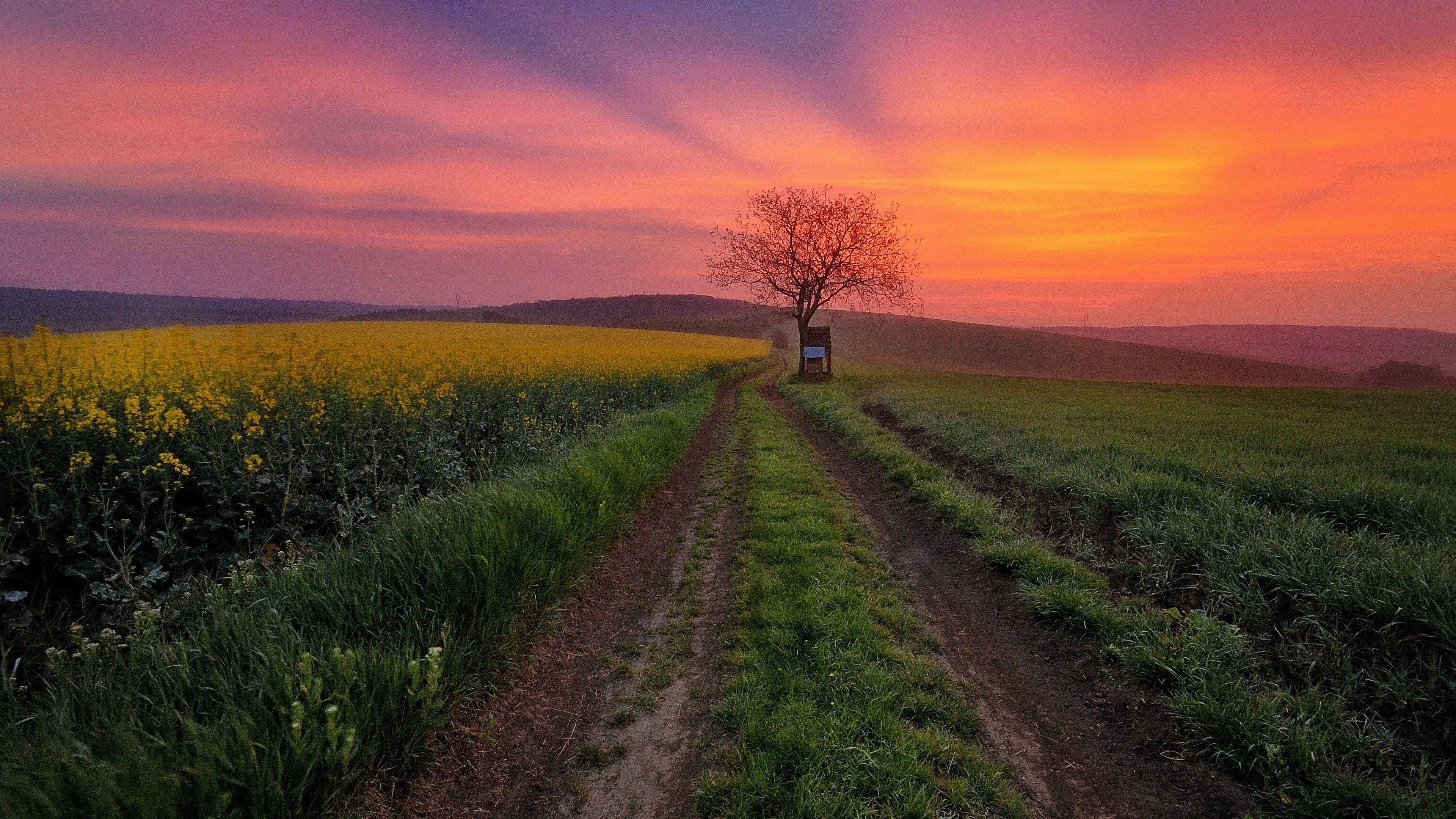 4K Desktop Background of a Country Road at Sunset HD Wallpaper