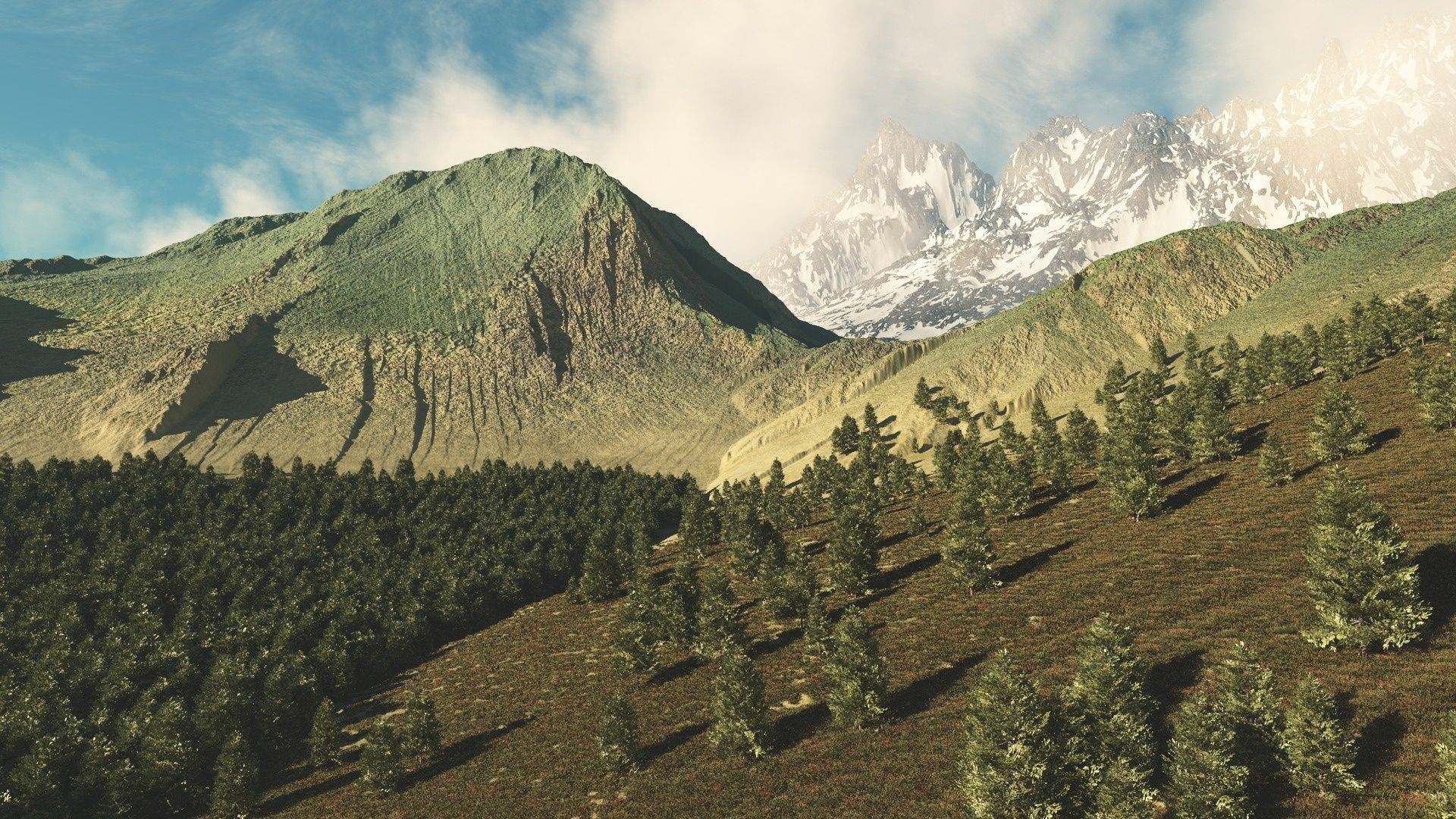 Mountain landscape with pine trees and snow-capped peaks HD Wallpaper