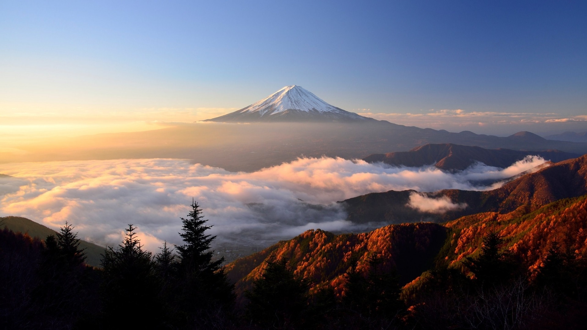 Mount Fuji above clouds at sunrise HD Wallpaper