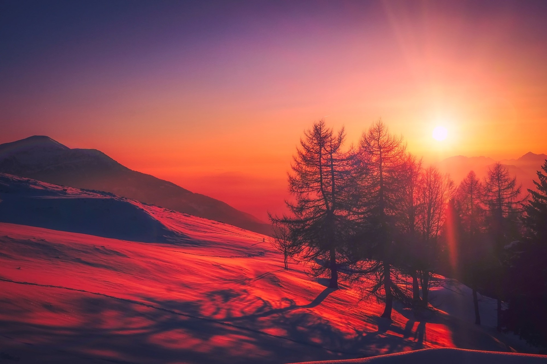 Sunset over snowy mountains with pine trees HD Wallpaper