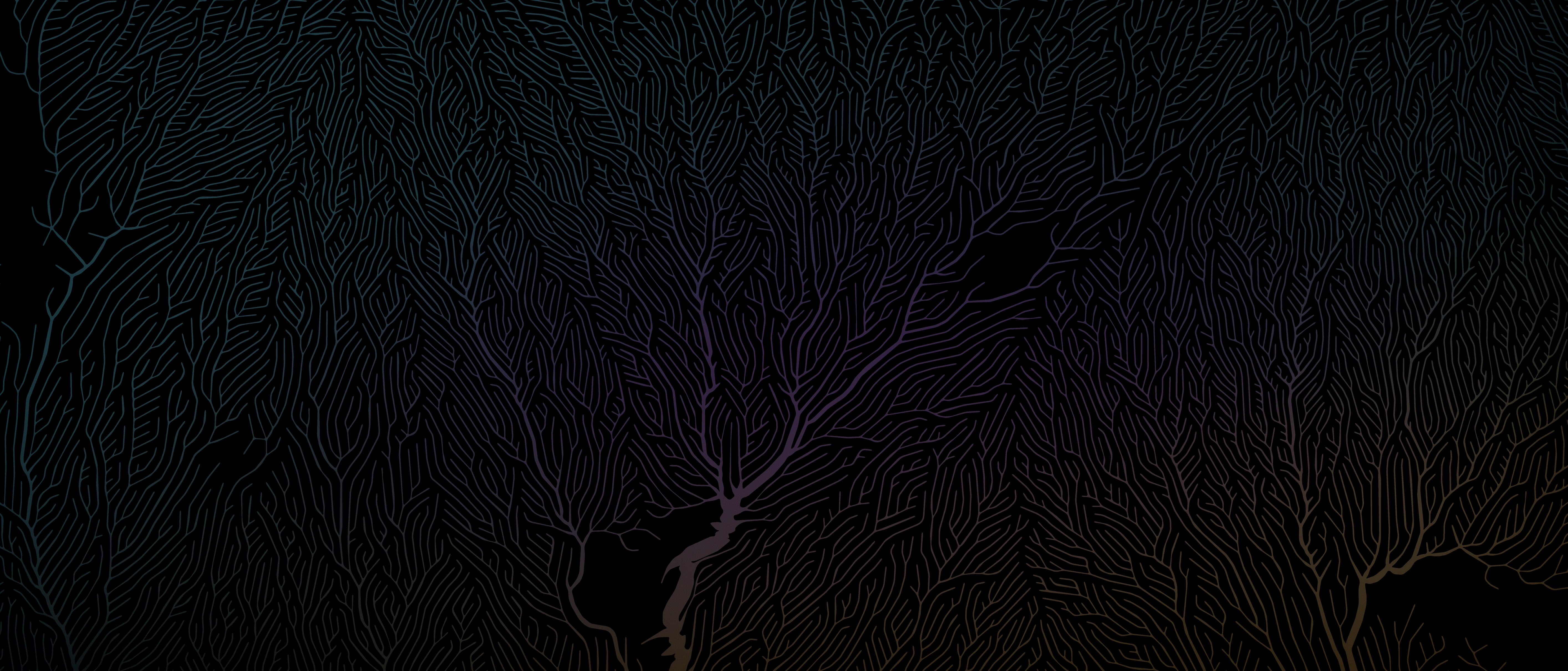 Dark Minimal Tree Branches HD Wallpaper
